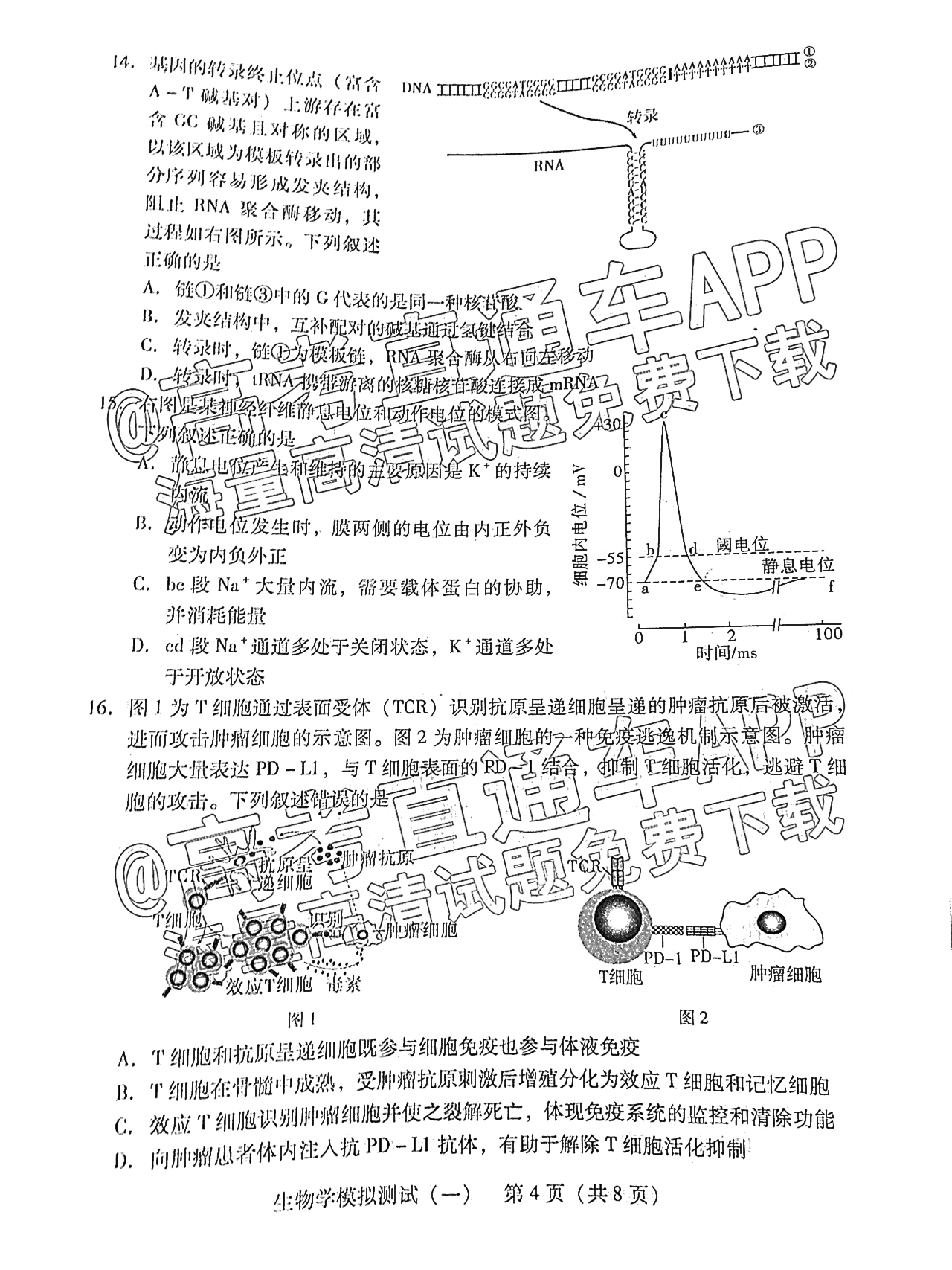 2022广东一模生物试题及参考答案 第4页