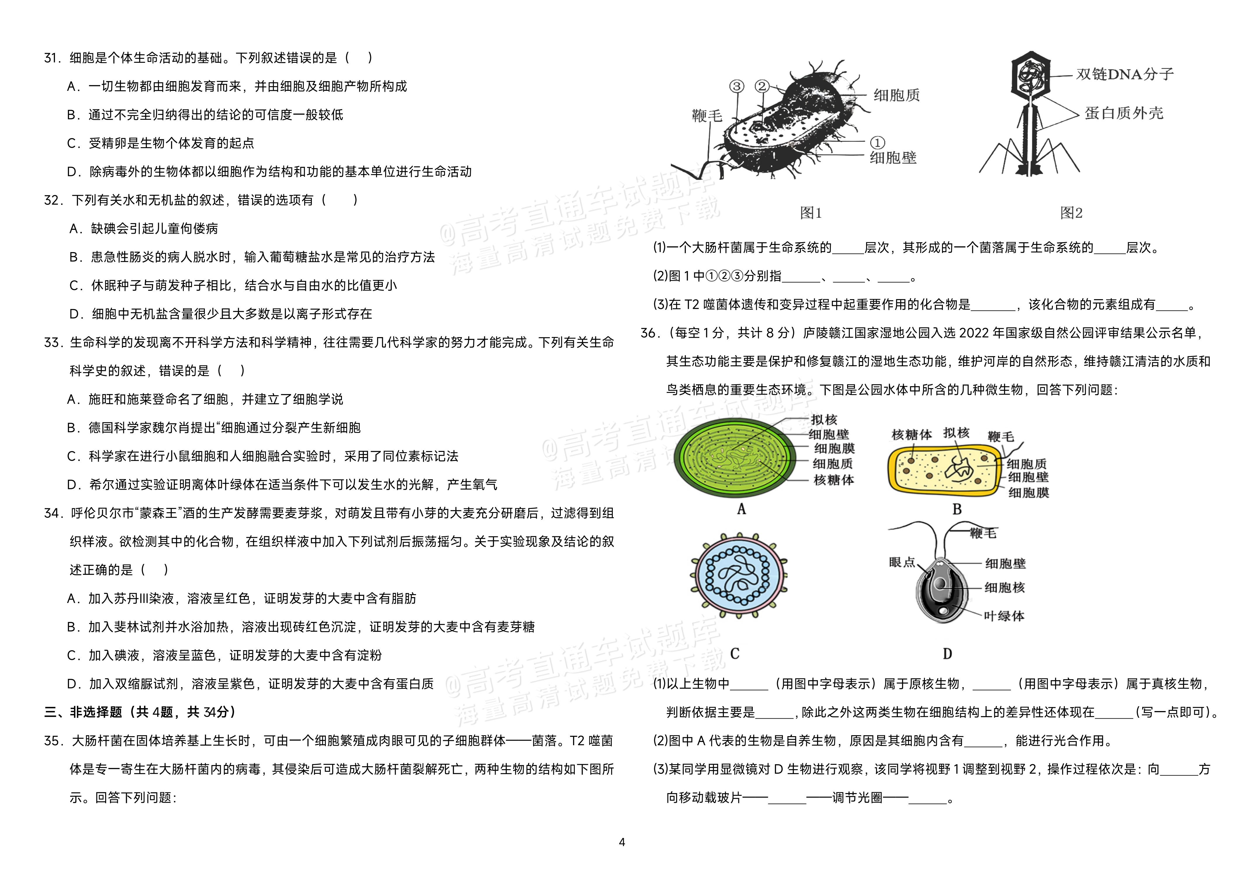 2026内蒙古自治区巴彦淖尔市第一中学高一9月月考生物试题 第4页