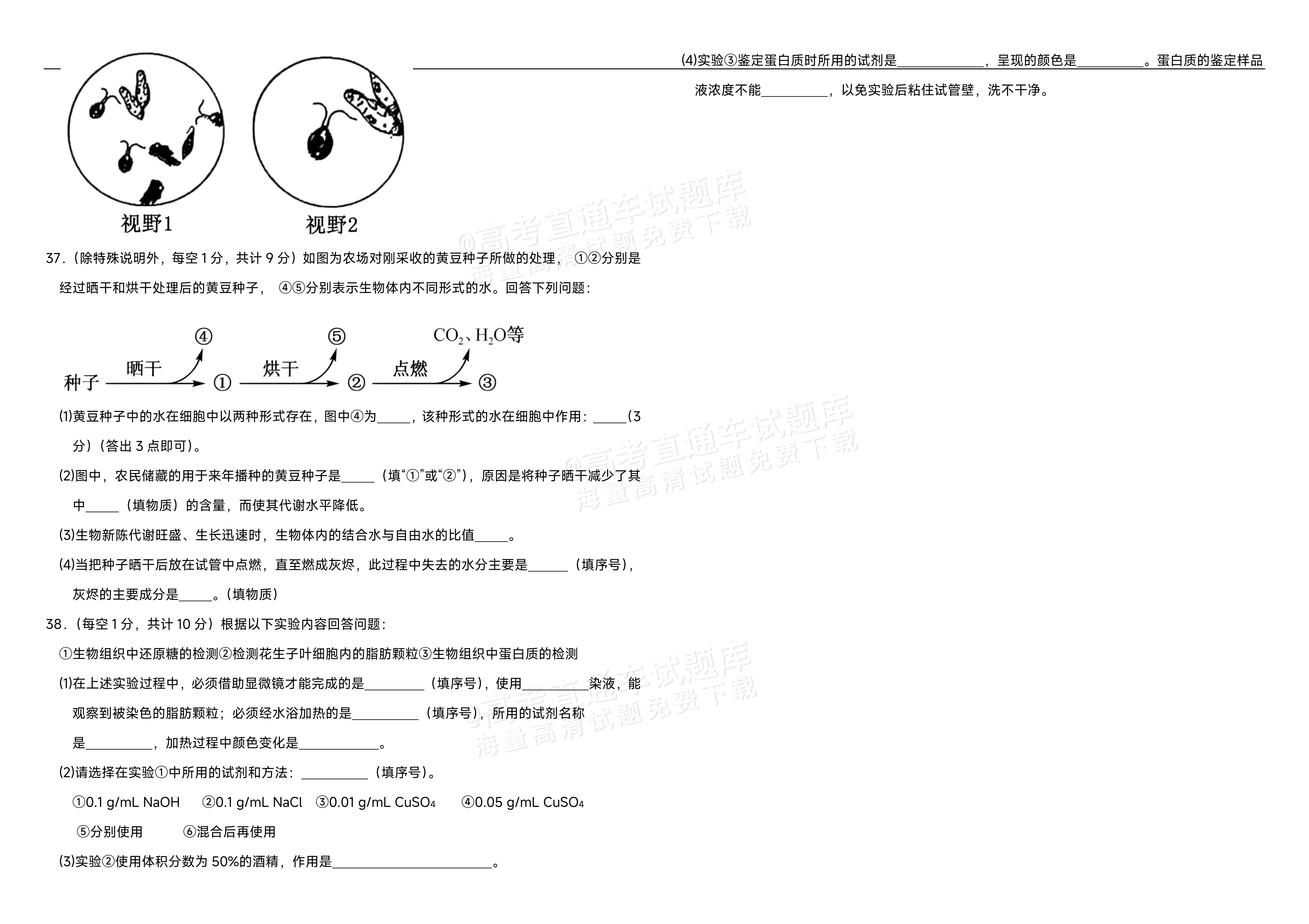 2026内蒙古自治区巴彦淖尔市第一中学高一9月月考生物试题 第5页