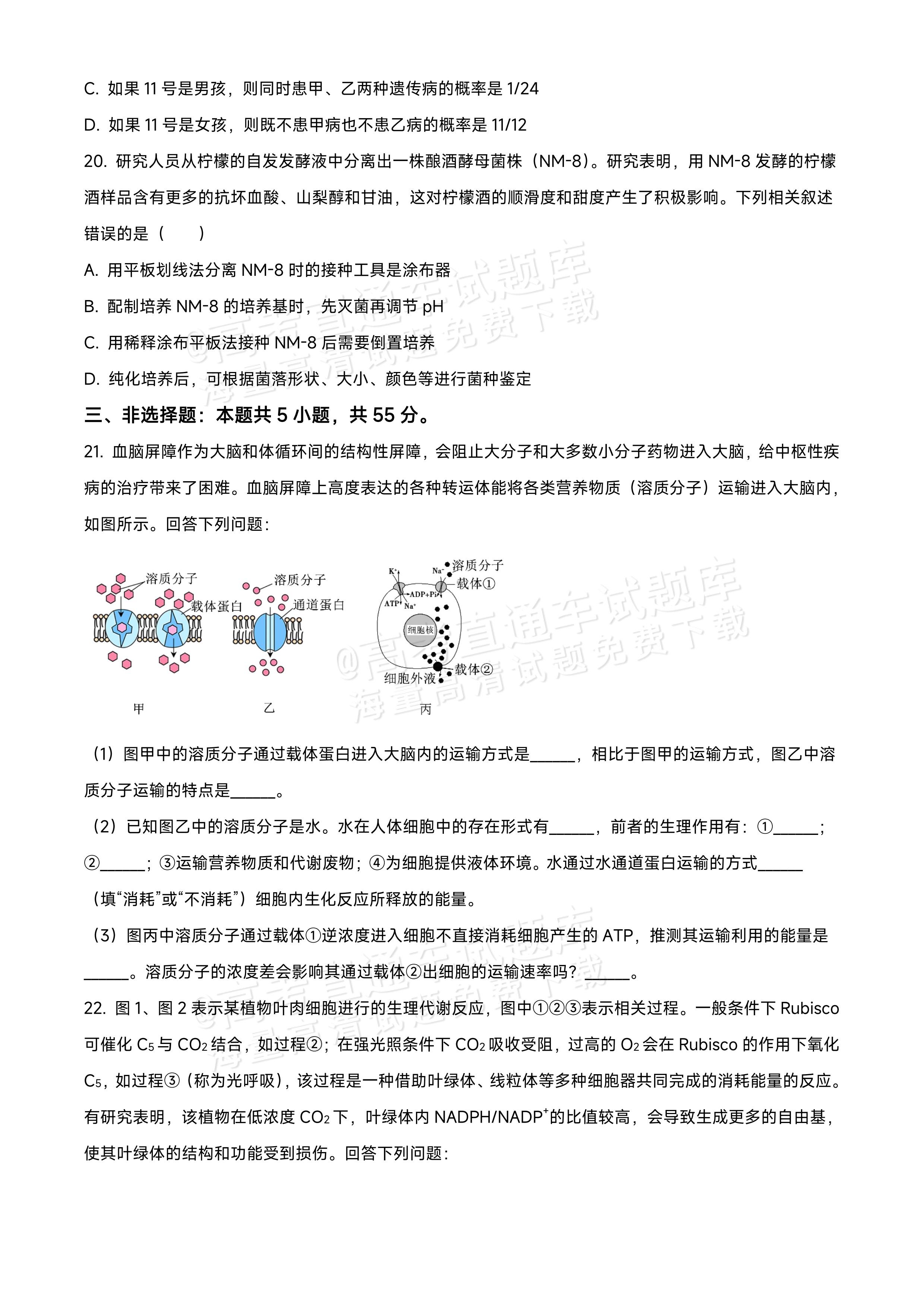 2026黑龙江龙西北九校高三9月开学考生物试题及参考答案 第7页