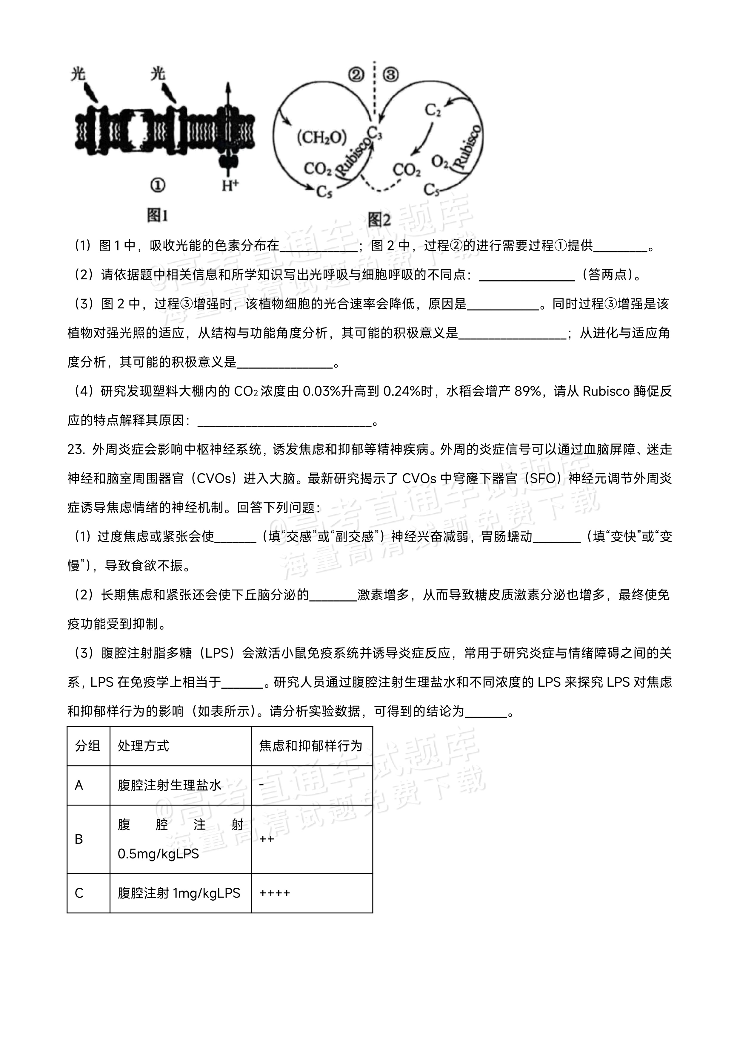 2026黑龙江龙西北九校高三9月开学考生物试题及参考答案 第8页