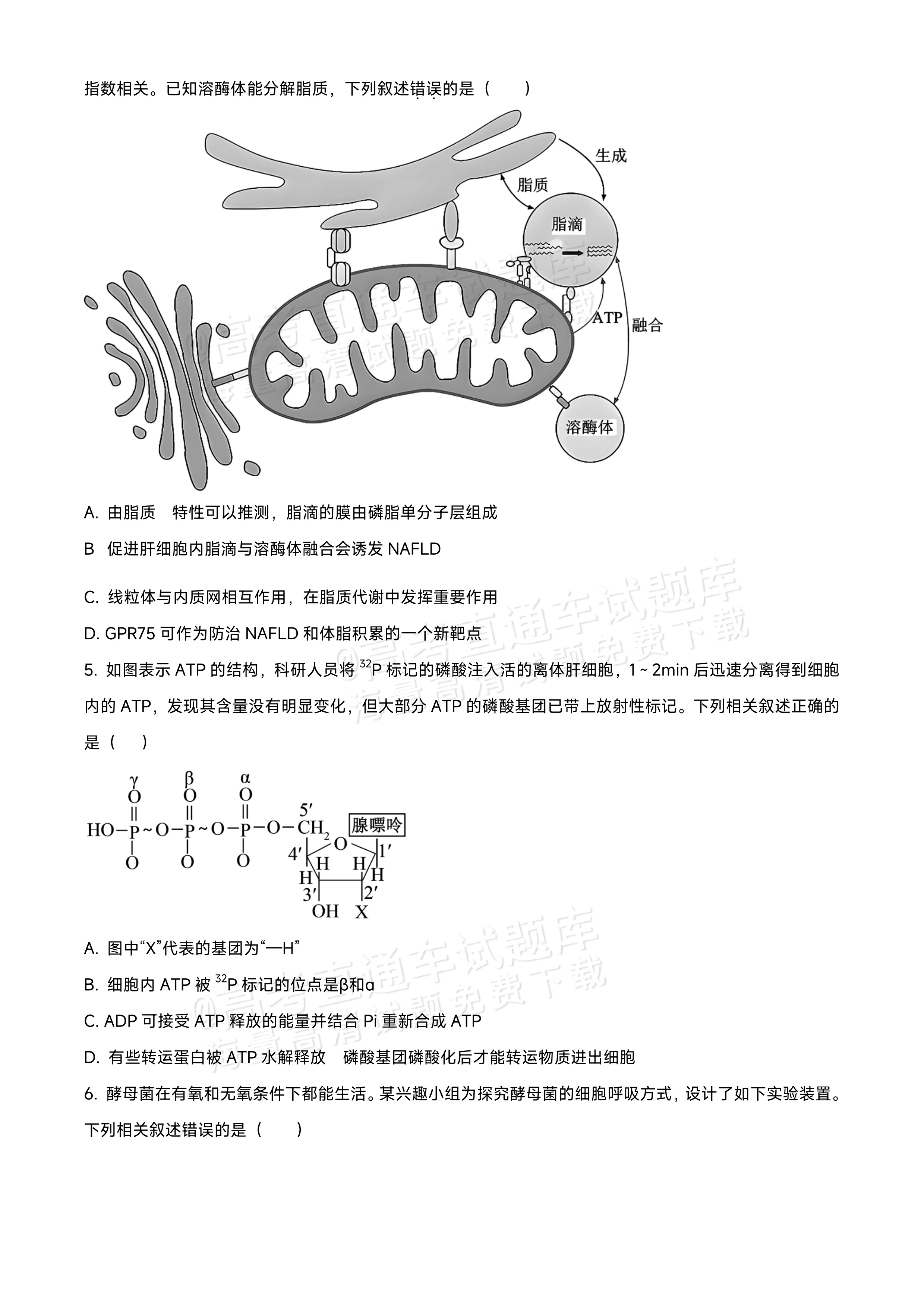 2026黑龙江龙西北九校高三9月开学考生物试题及参考答案 第2页