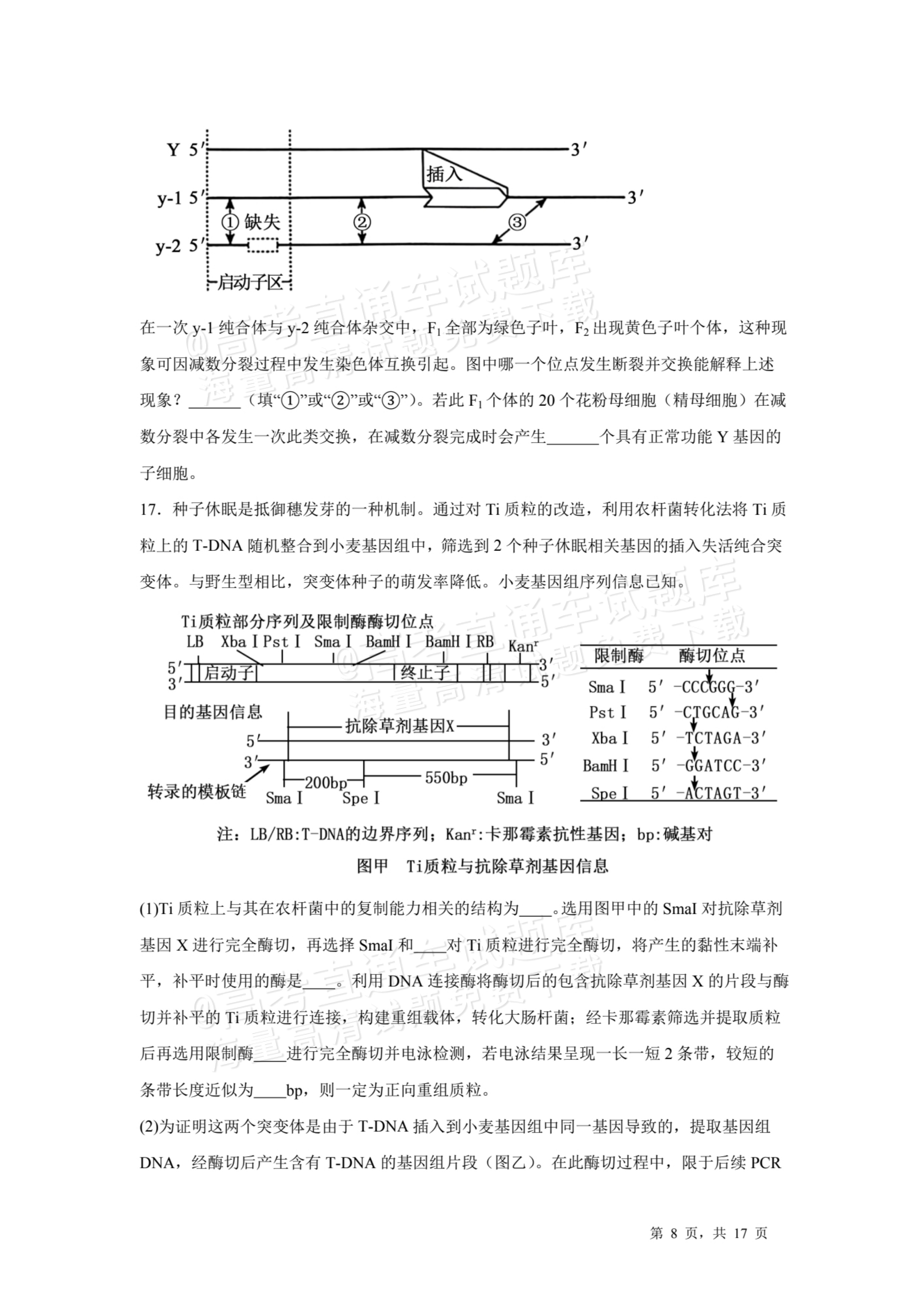 2026天津耀华中学红桥中学高三上学期开学考生物试题及参考答案 第8页