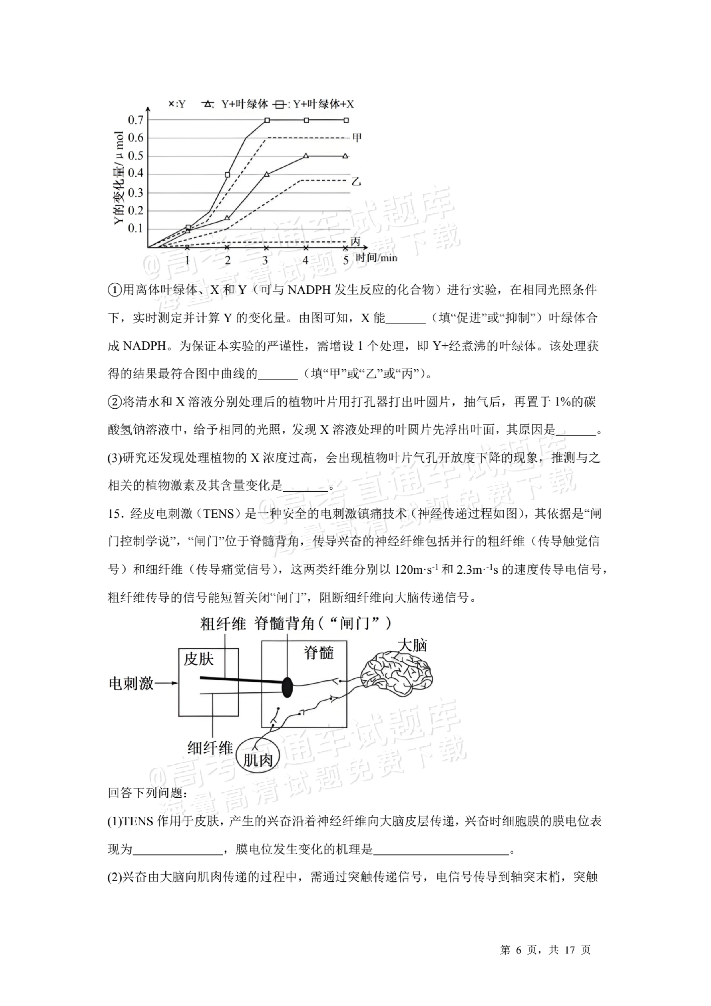 2026天津耀华中学红桥中学高三上学期开学考生物试题及参考答案 第6页