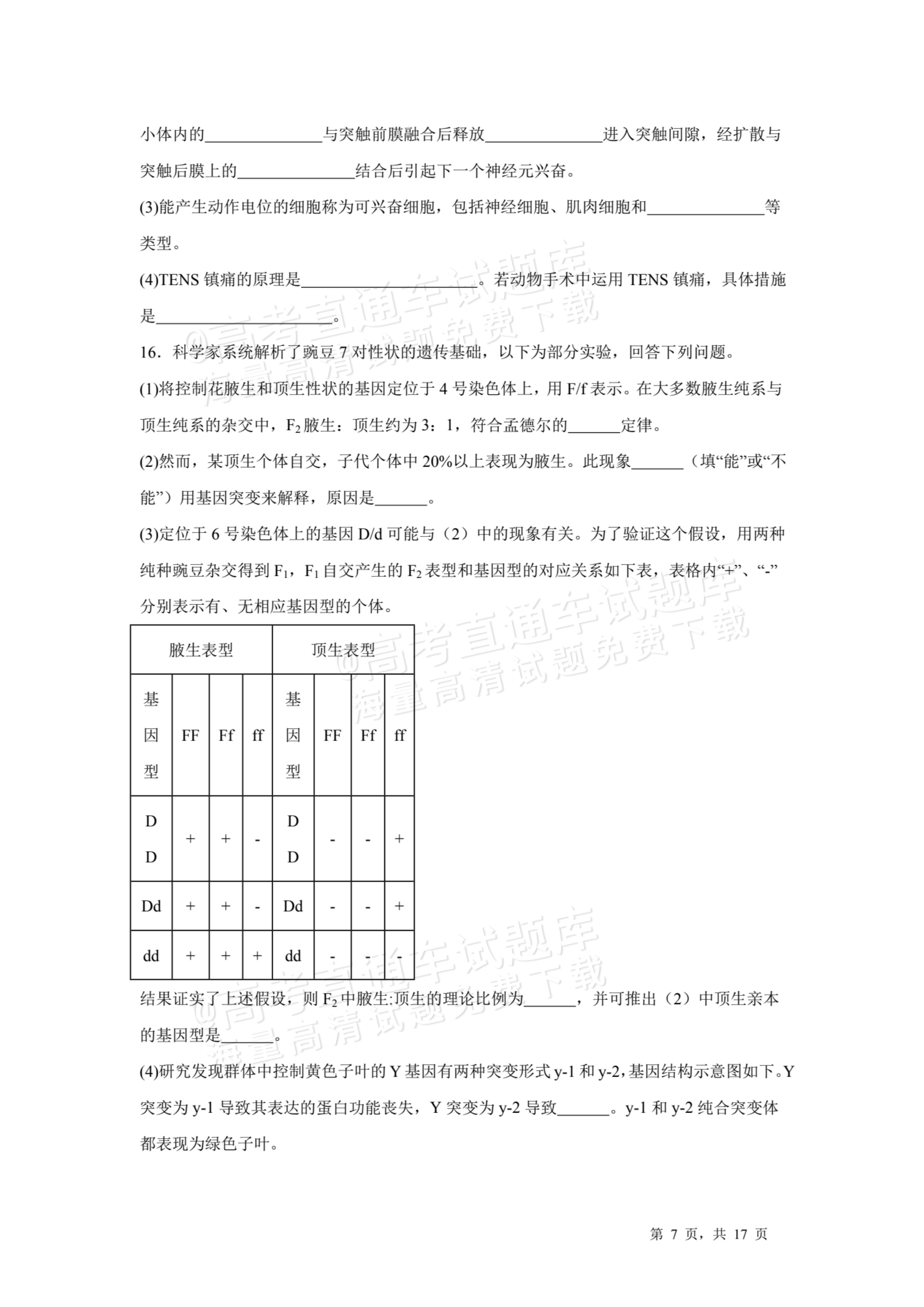 2026天津耀华中学红桥中学高三上学期开学考生物试题及参考答案 第7页
