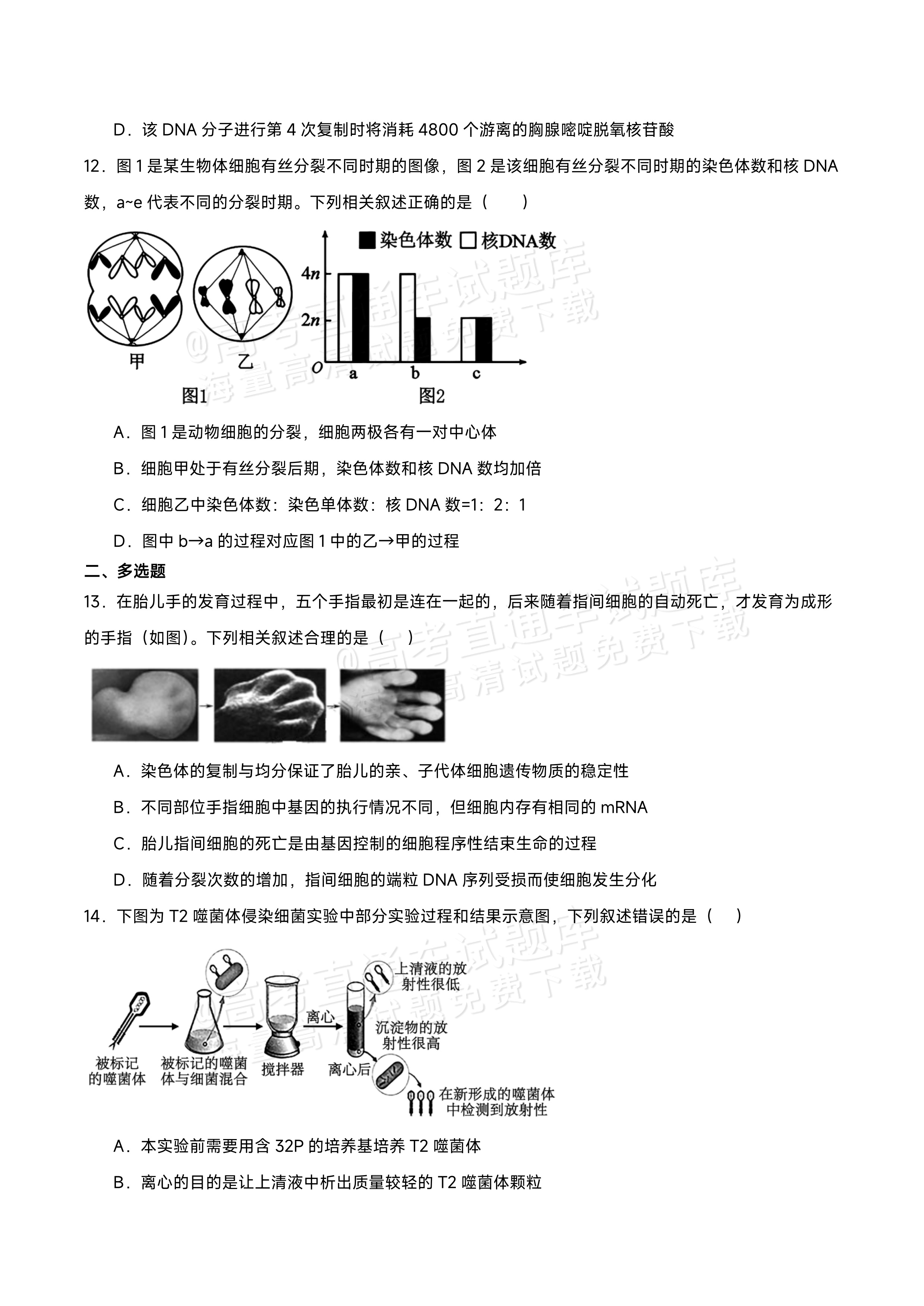 2026江西宜春丰城第九中学高二上学期开学考生物试题及参考答案 第4页