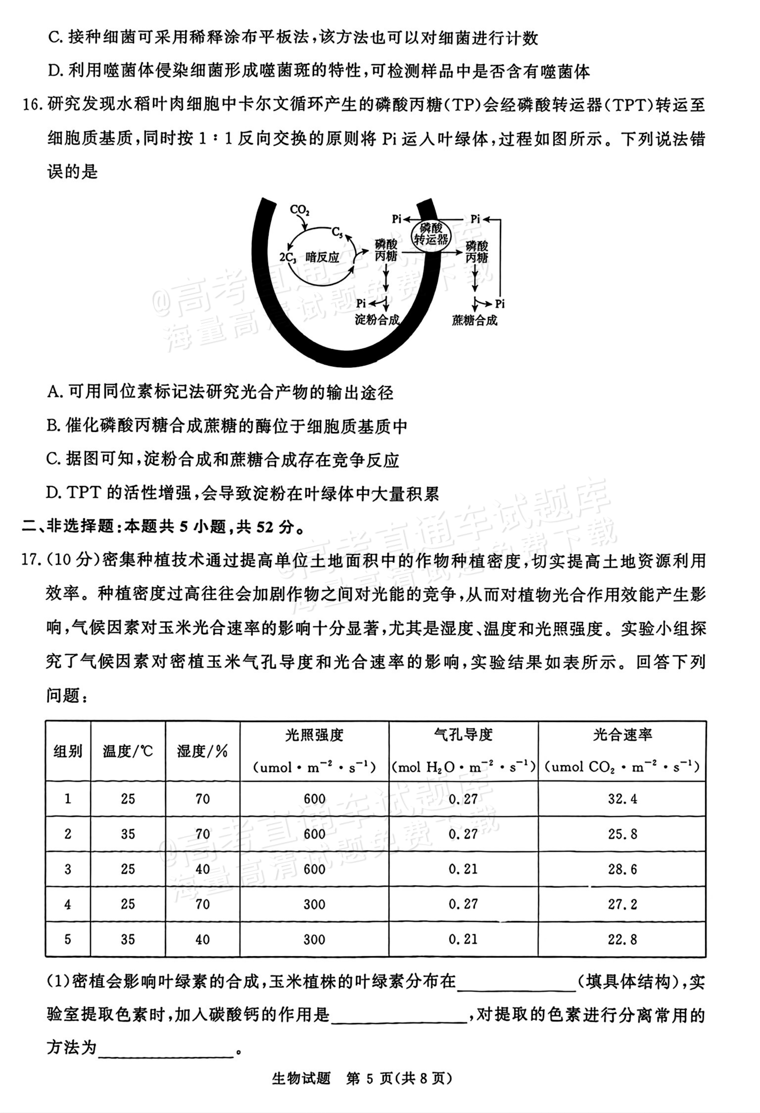 2026河南青桐鸣高三9.28联考生物试题及参考答案 第5页