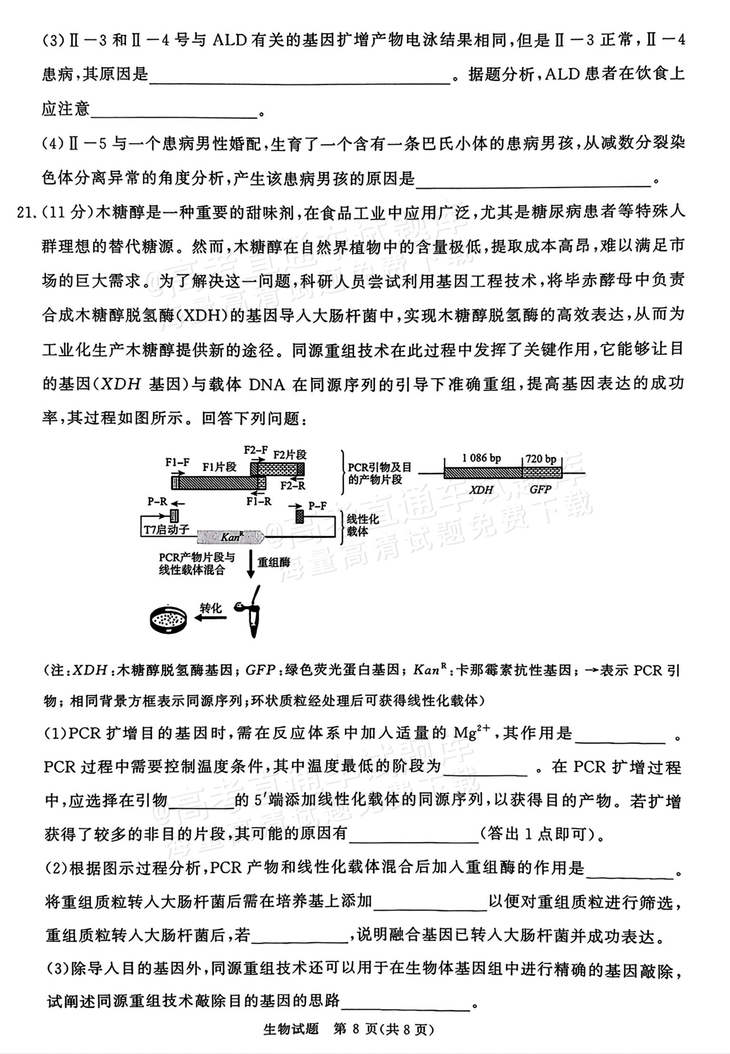 2026河南青桐鸣高三9.28联考生物试题及参考答案 第8页