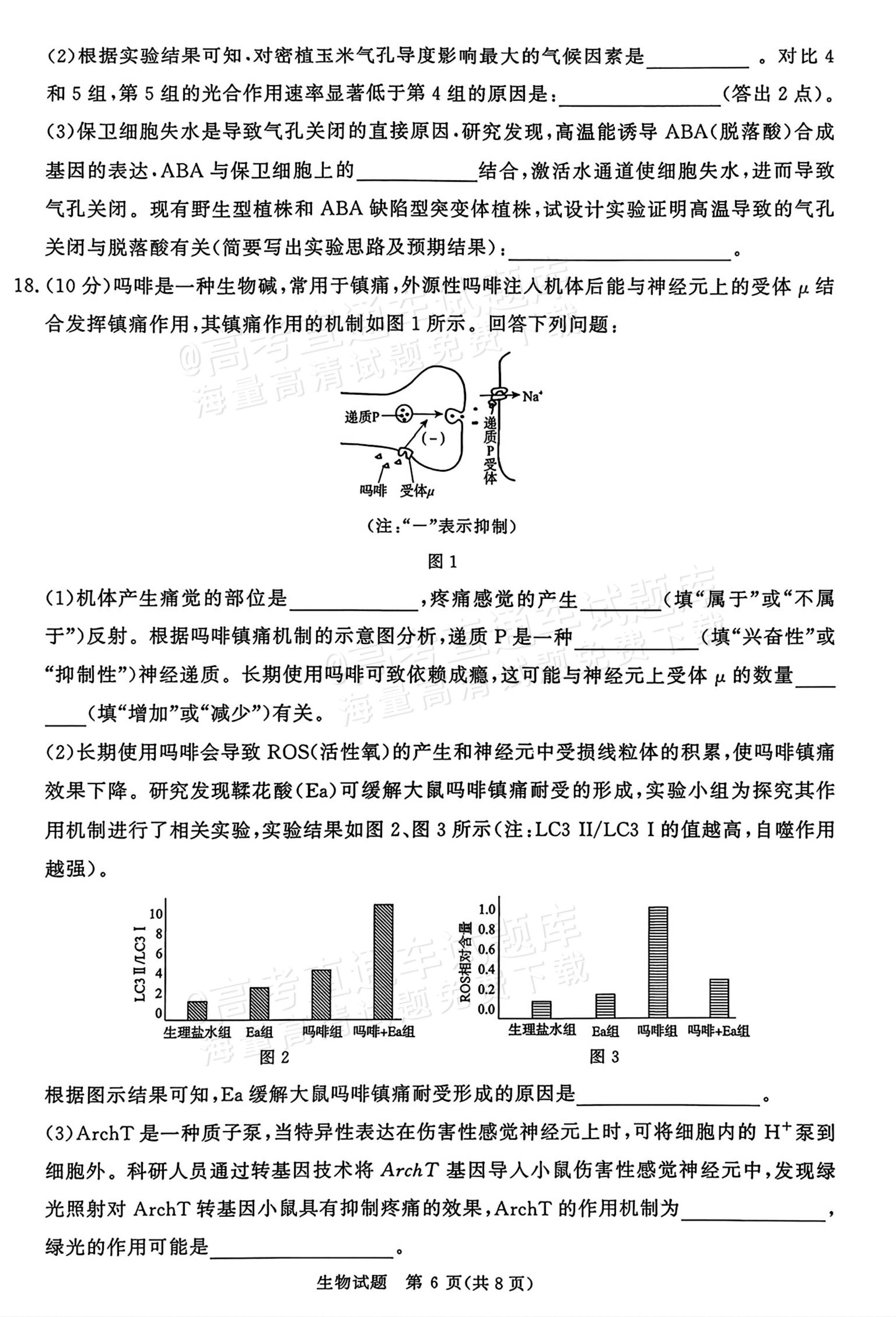 2026河南青桐鸣高三9.28联考生物试题及参考答案 第6页