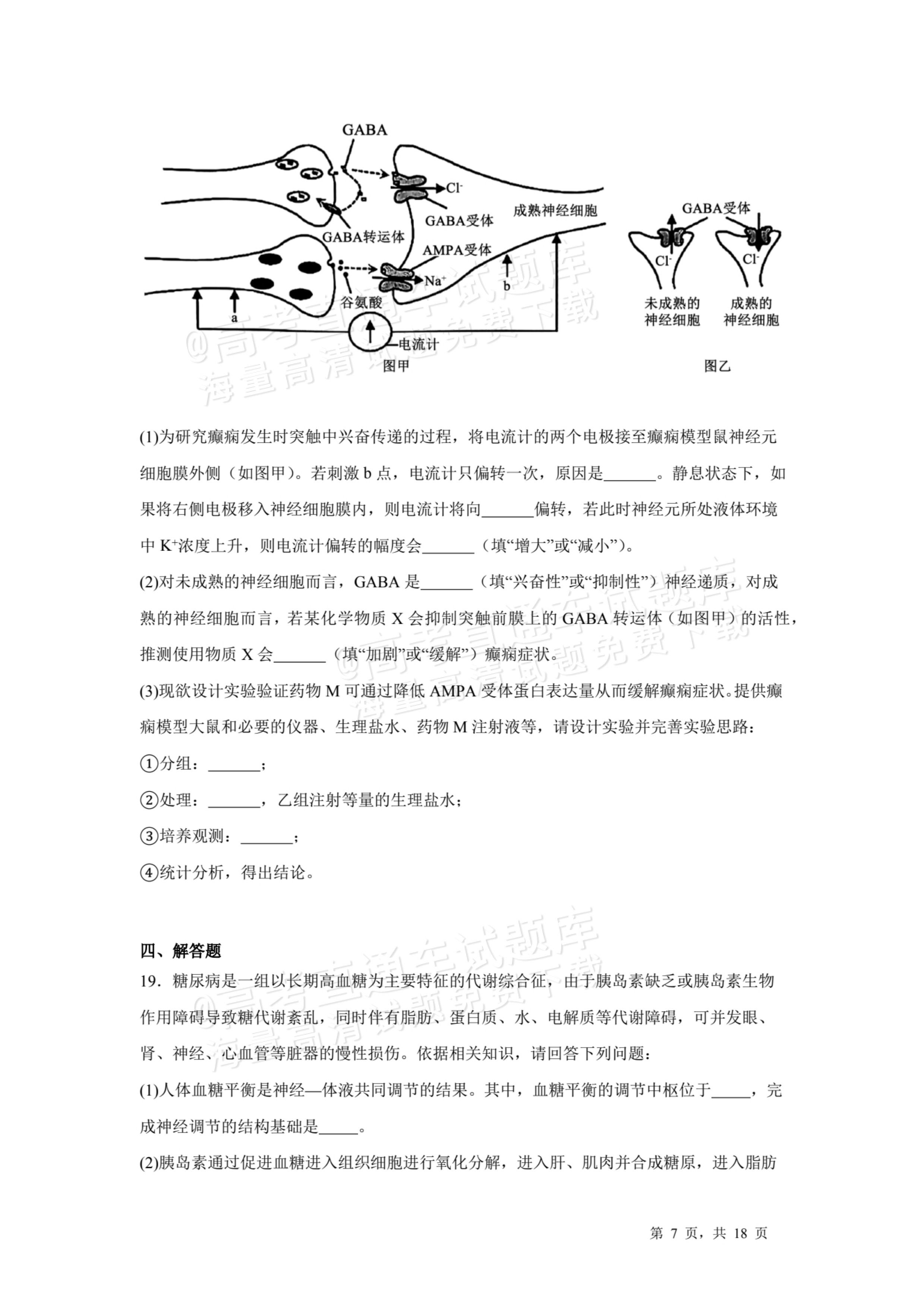 2026河源龙川县第一中学高二10月月考生物试题及参考答案 第7页