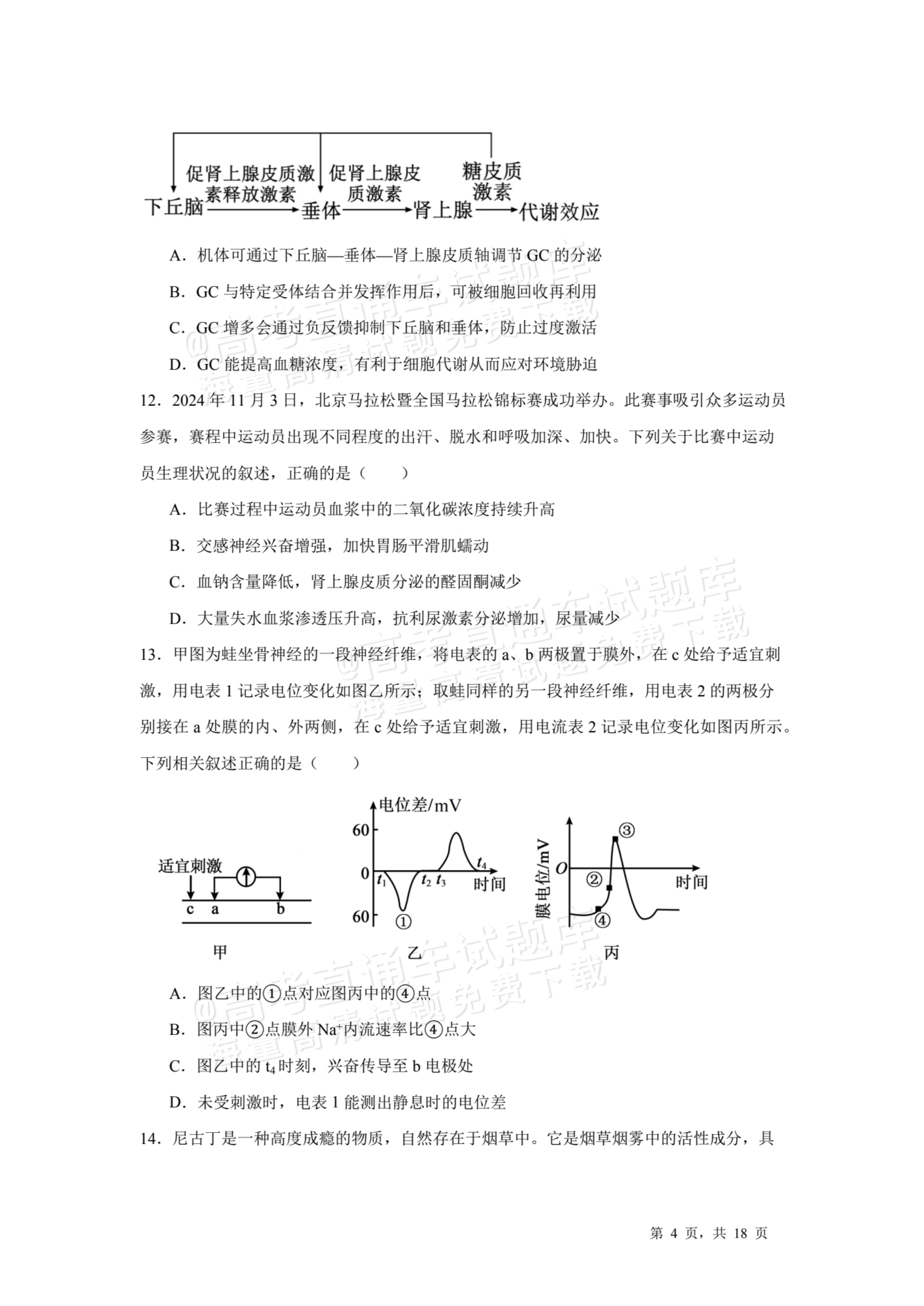 2026河源龙川县第一中学高二10月月考生物试题及参考答案 第4页