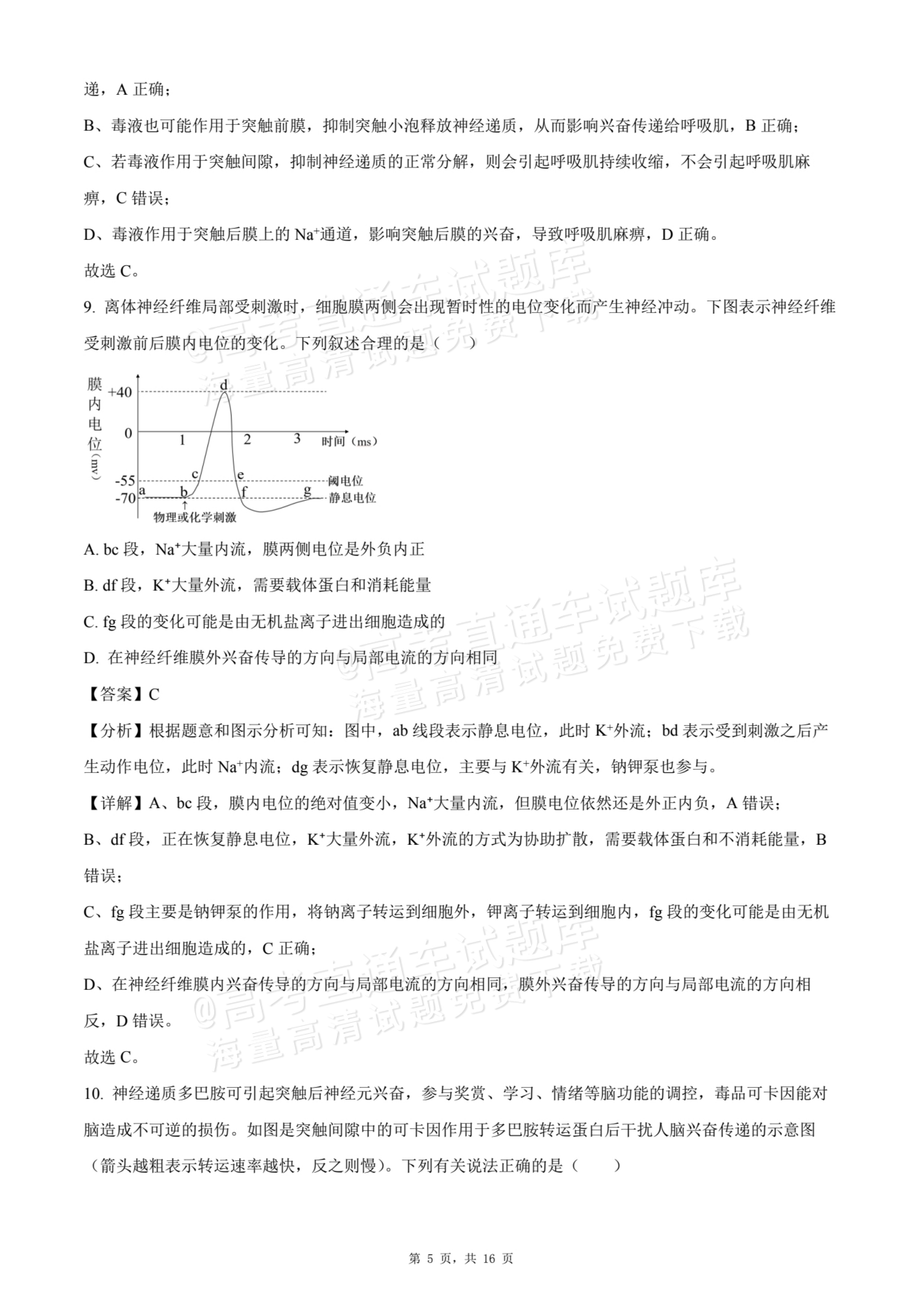 2026贵州贵阳南湖实验中学高二上学期第一次月考生物试题及参考答案 答案 第5页