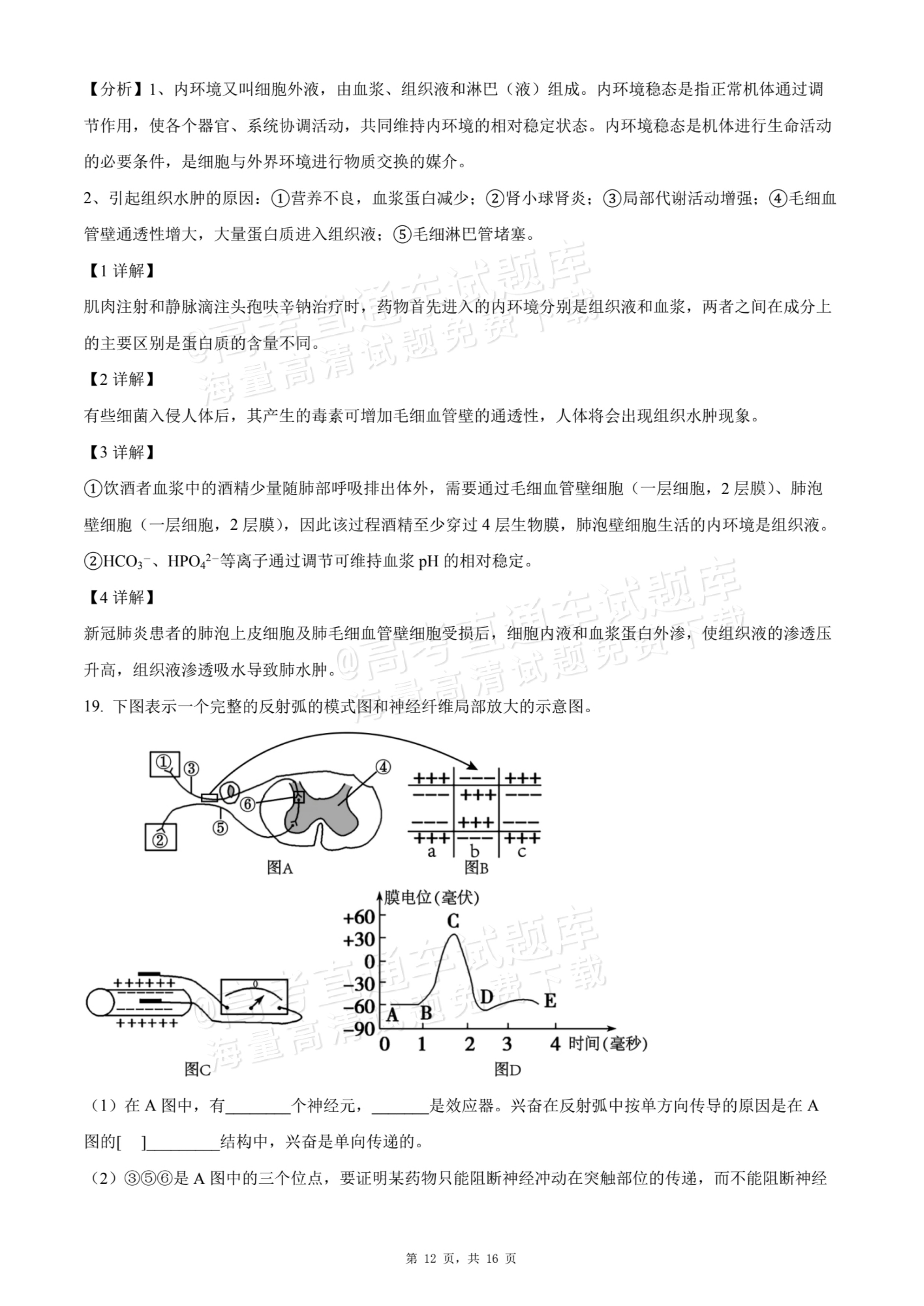 2026贵州贵阳南湖实验中学高二上学期第一次月考生物试题及参考答案 答案 第12页