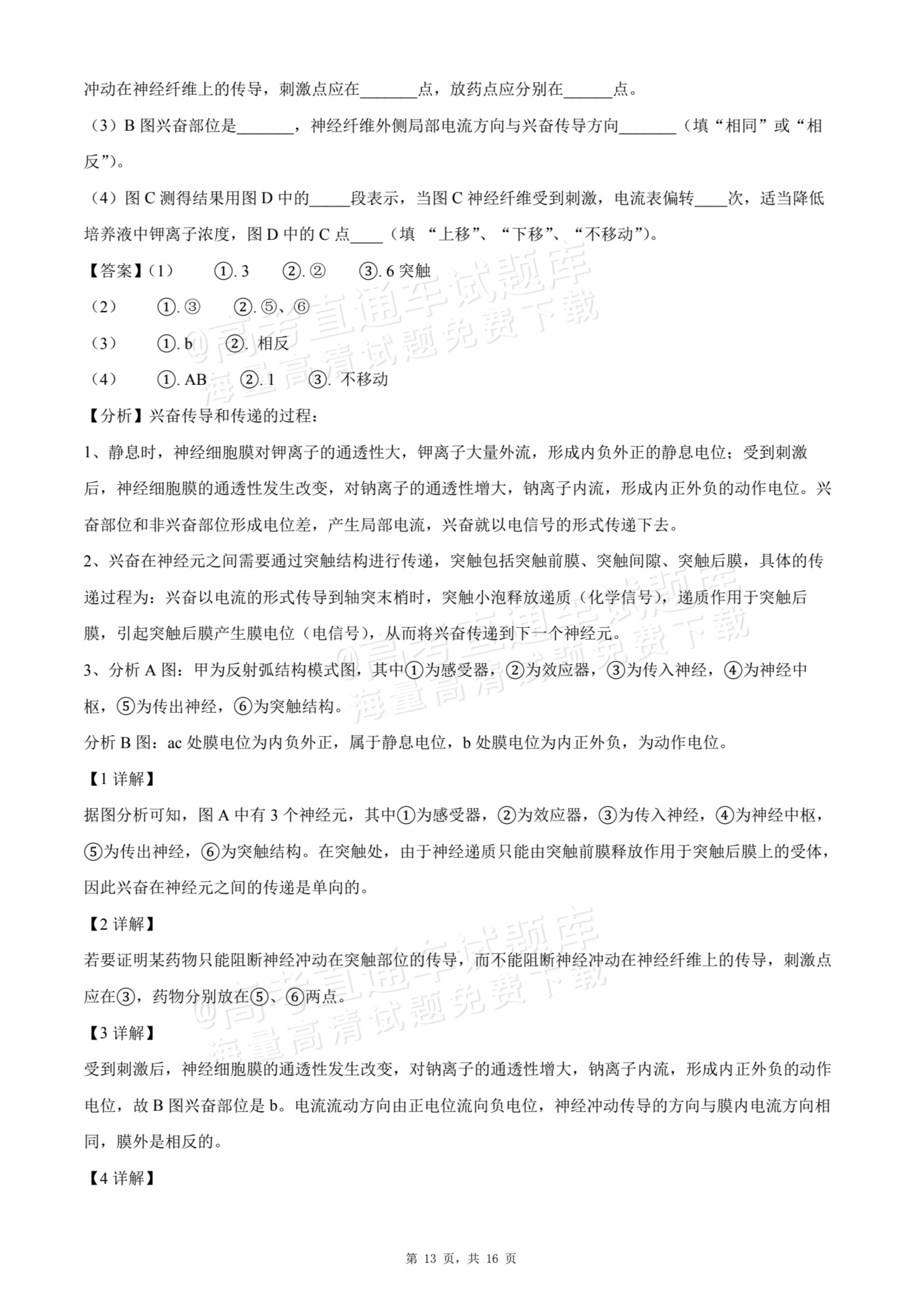 2026贵州贵阳南湖实验中学高二上学期第一次月考生物试题及参考答案 答案 第13页