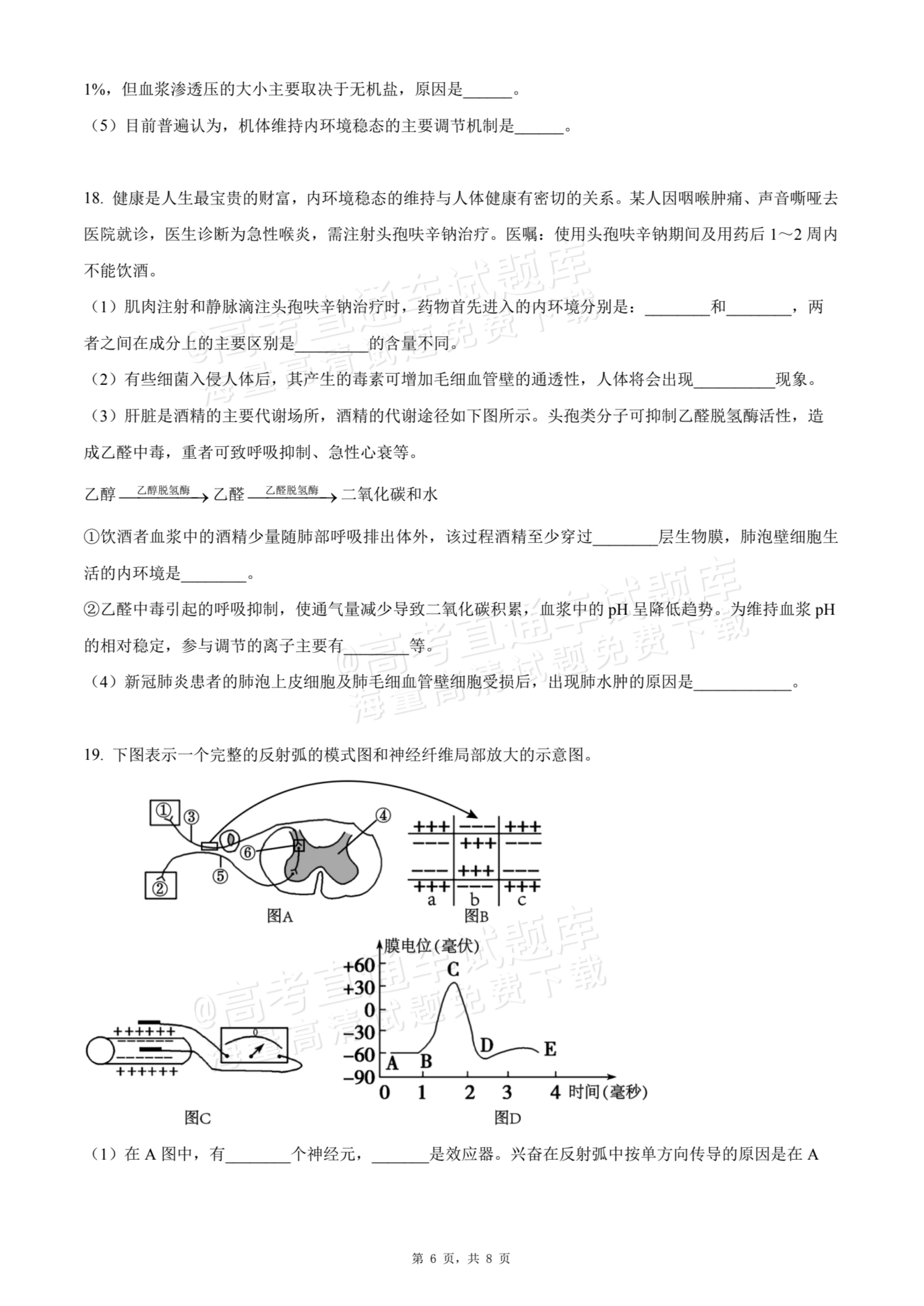 2026贵州贵阳南湖实验中学高二上学期第一次月考生物试题及参考答案 第6页