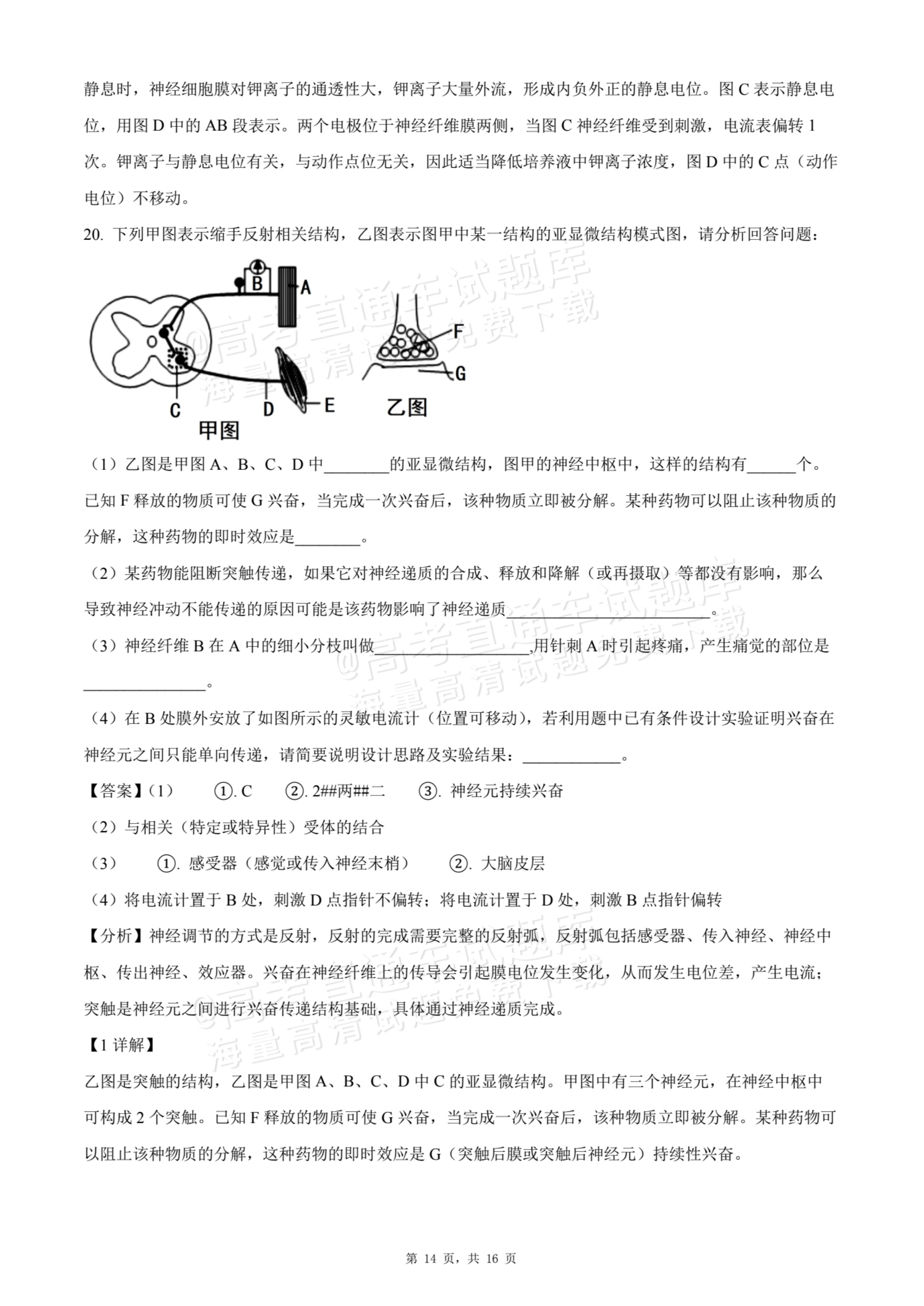 2026贵州贵阳南湖实验中学高二上学期第一次月考生物试题及参考答案 答案 第14页