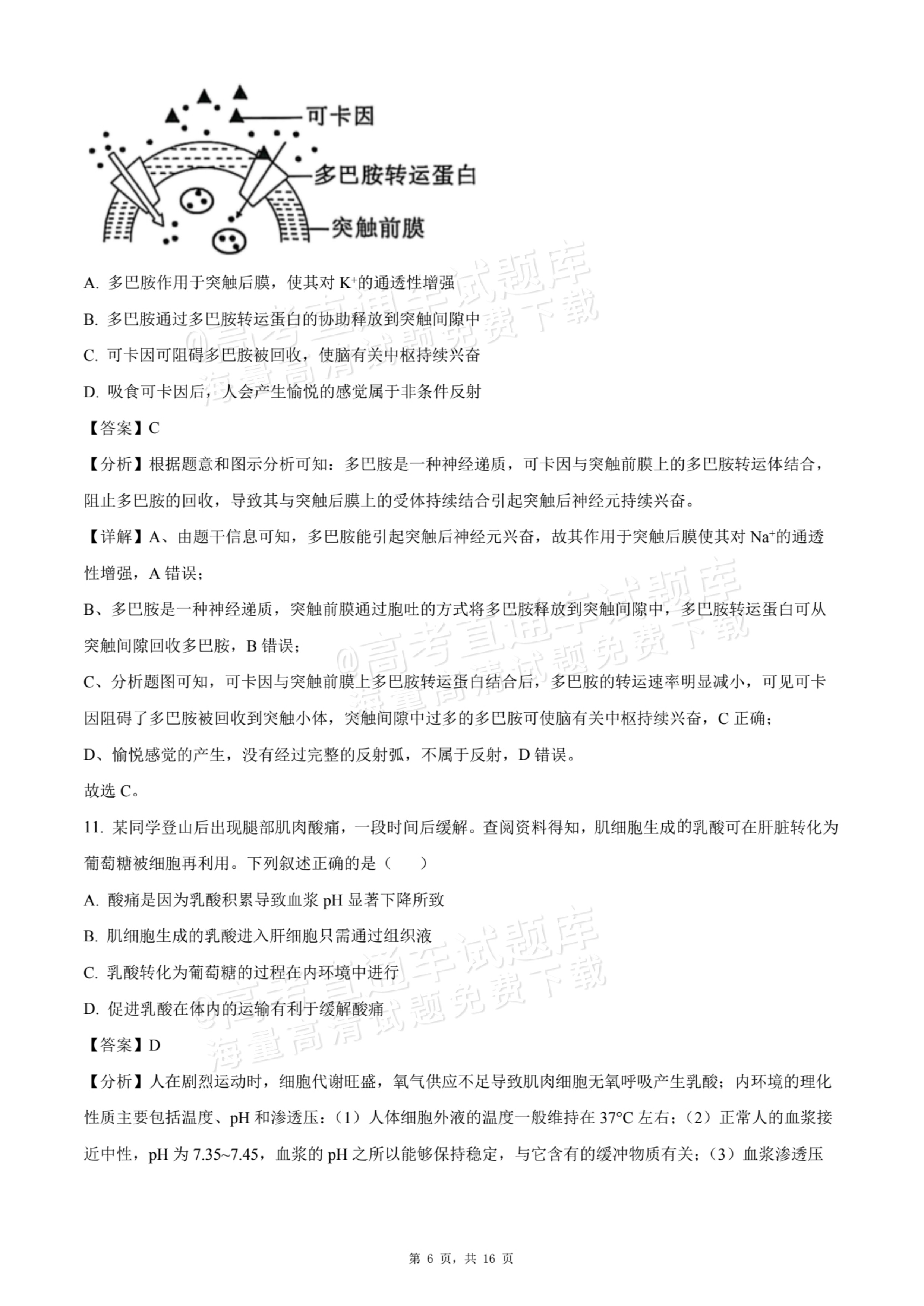 2026贵州贵阳南湖实验中学高二上学期第一次月考生物试题及参考答案 答案 第6页