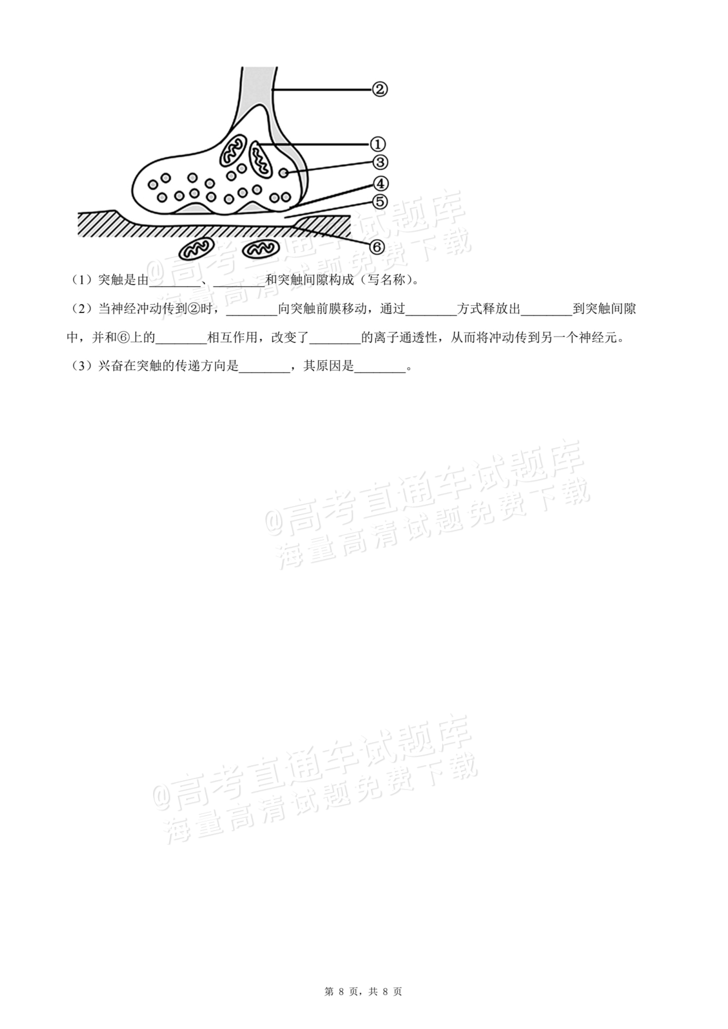 2026贵州贵阳南湖实验中学高二上学期第一次月考生物试题及参考答案 第8页