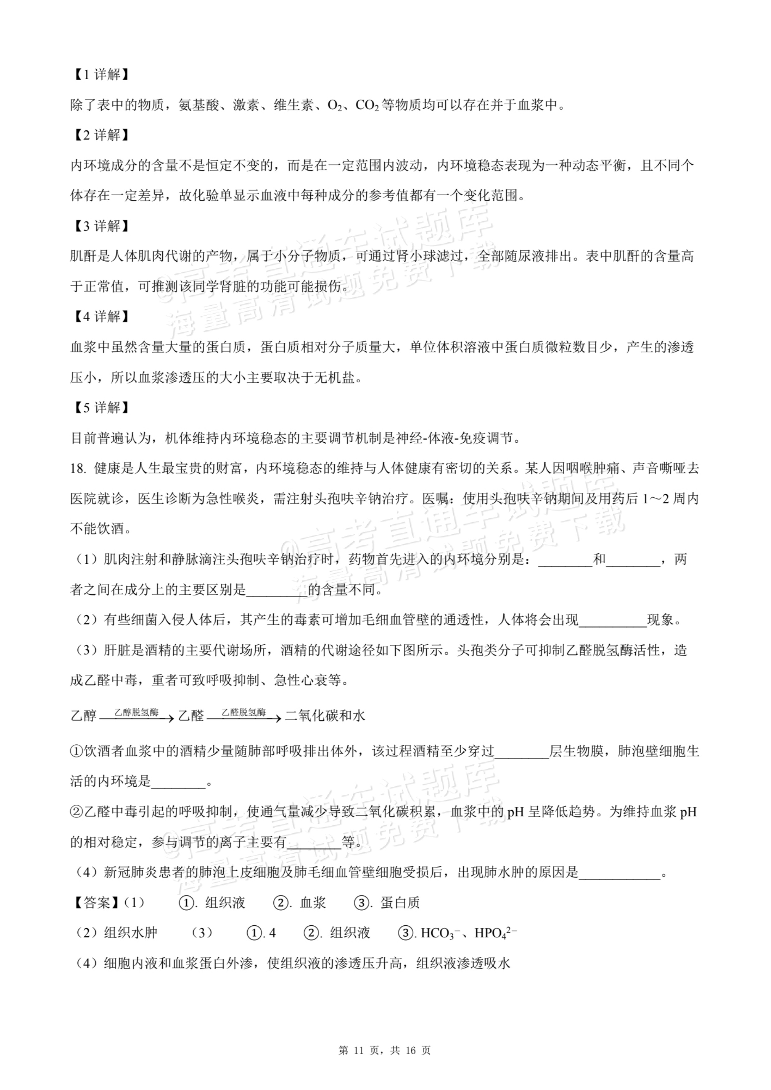 2026贵州贵阳南湖实验中学高二上学期第一次月考生物试题及参考答案 答案 第11页