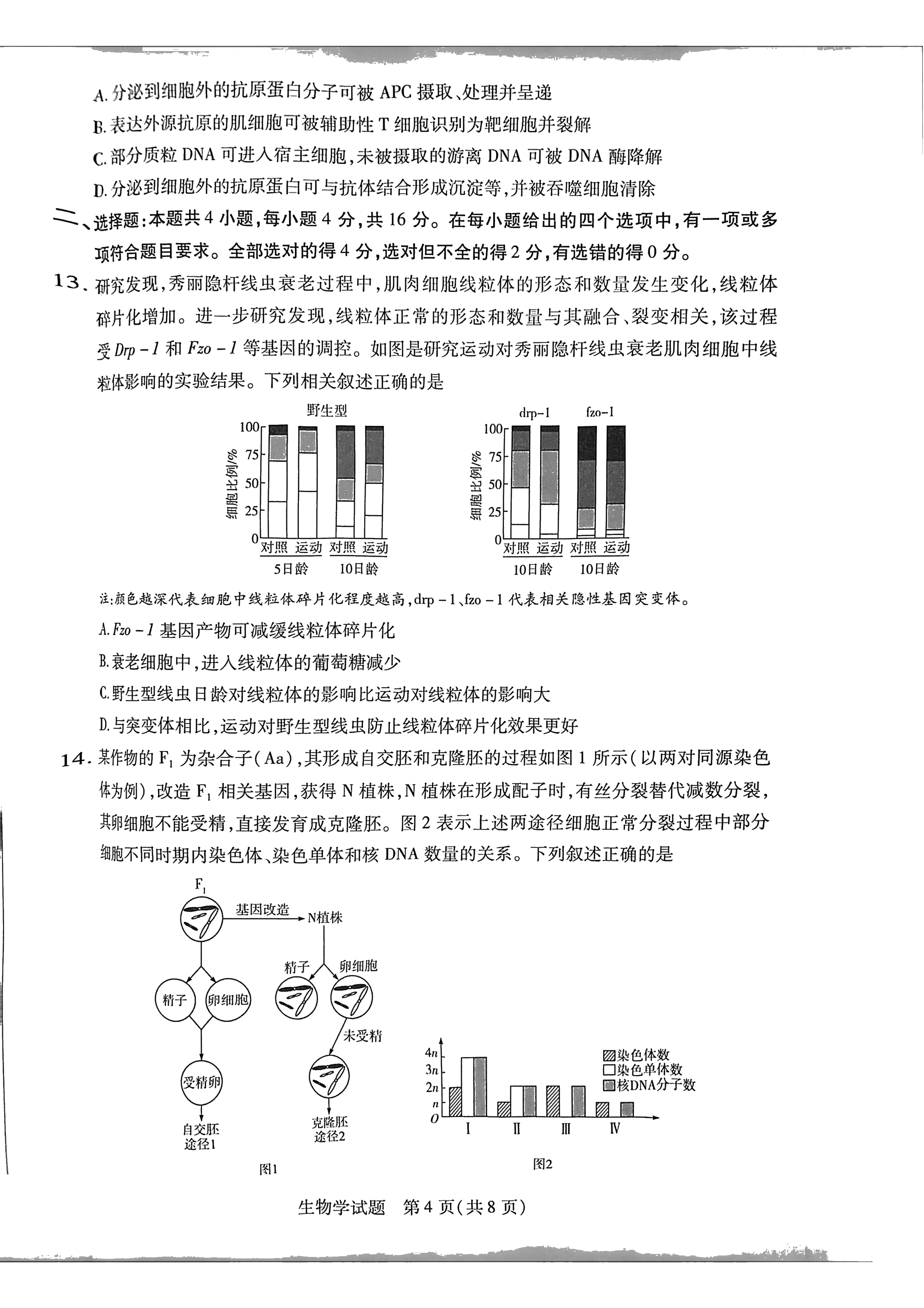 2026湖南湘一名校联盟高三10月联考生物试题及参考答案 第4页
