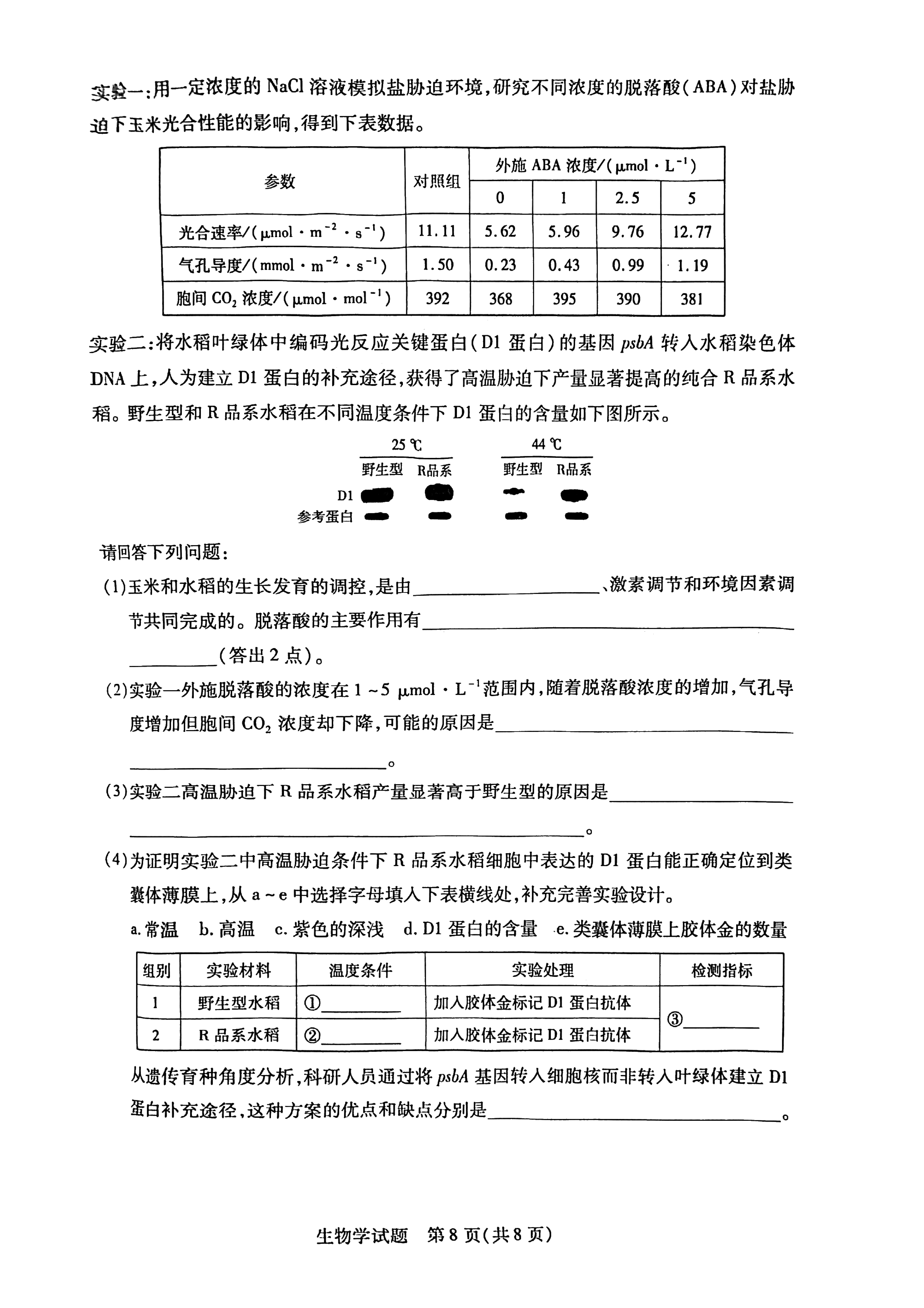 2026湖南湘一名校联盟高三10月联考生物试题及参考答案 第8页