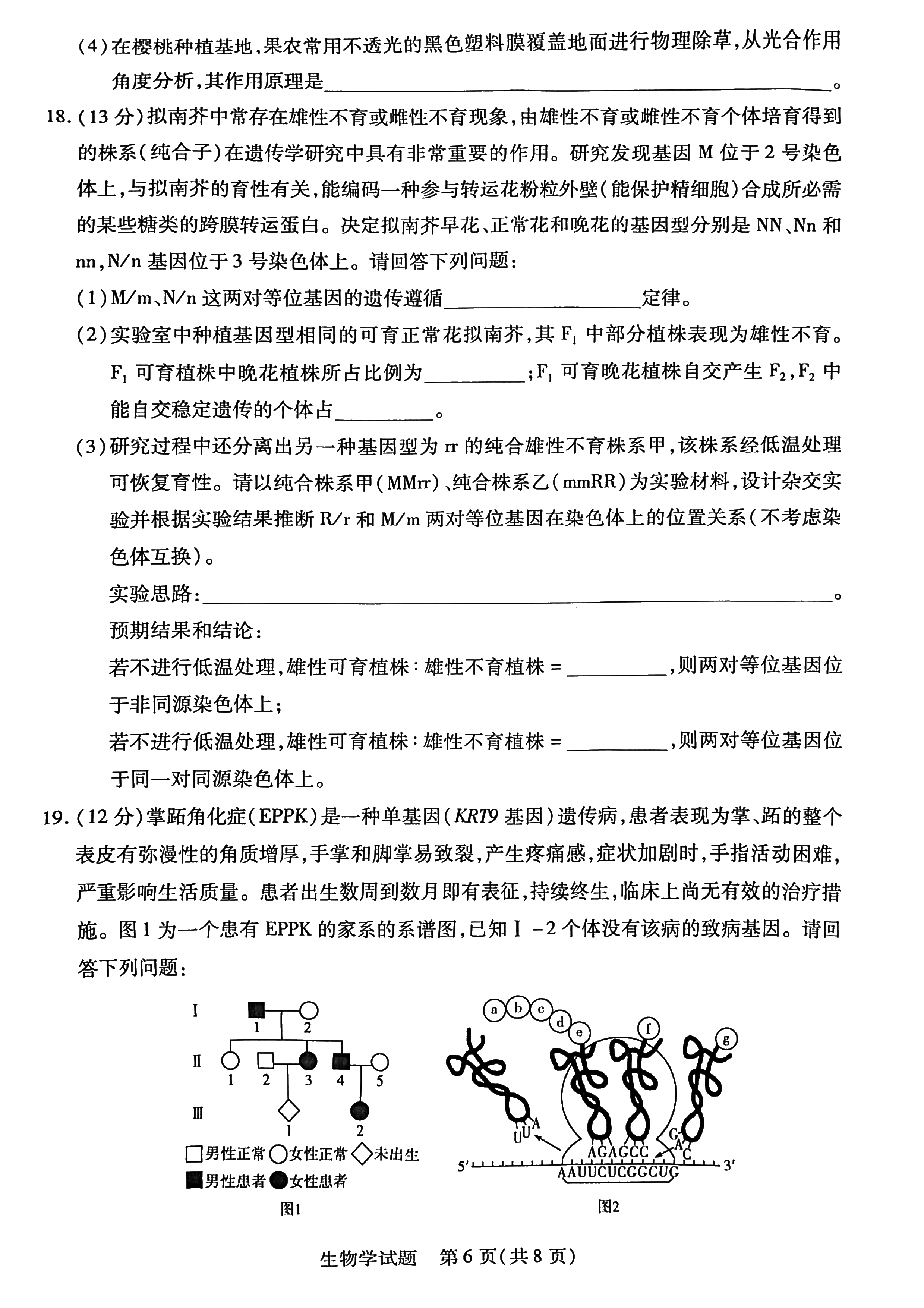 2026湖南湘一名校联盟高三10月联考生物试题及参考答案 第6页