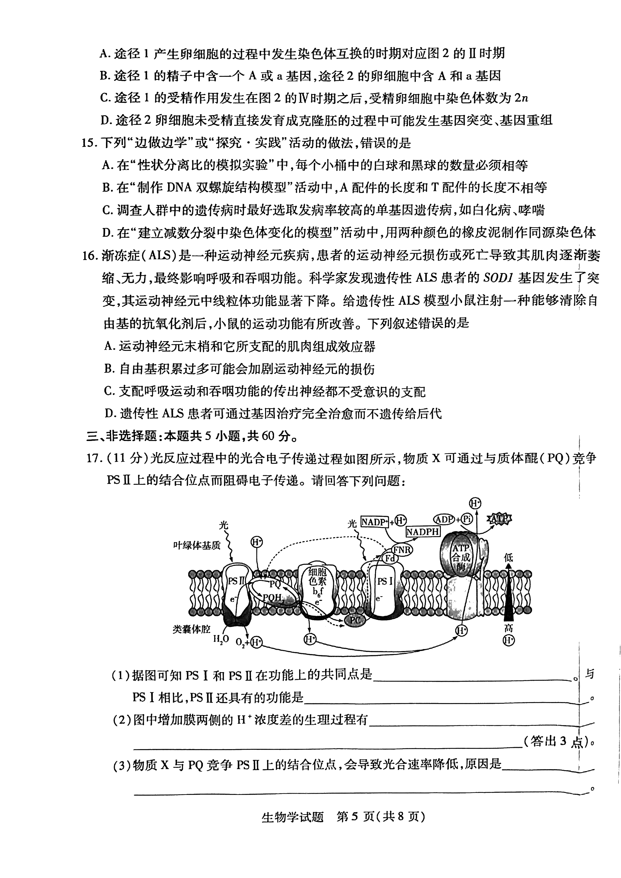 2026湖南湘一名校联盟高三10月联考生物试题及参考答案 第5页
