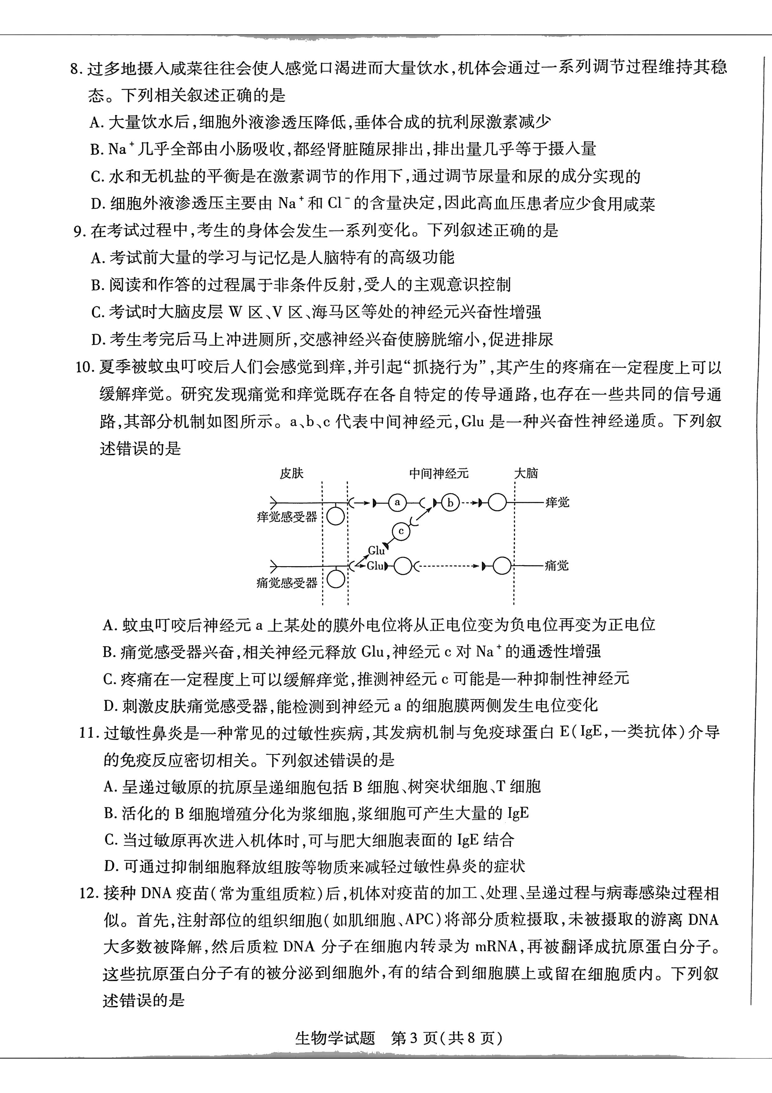 2026湖南湘一名校联盟高三10月联考生物试题及参考答案 第3页