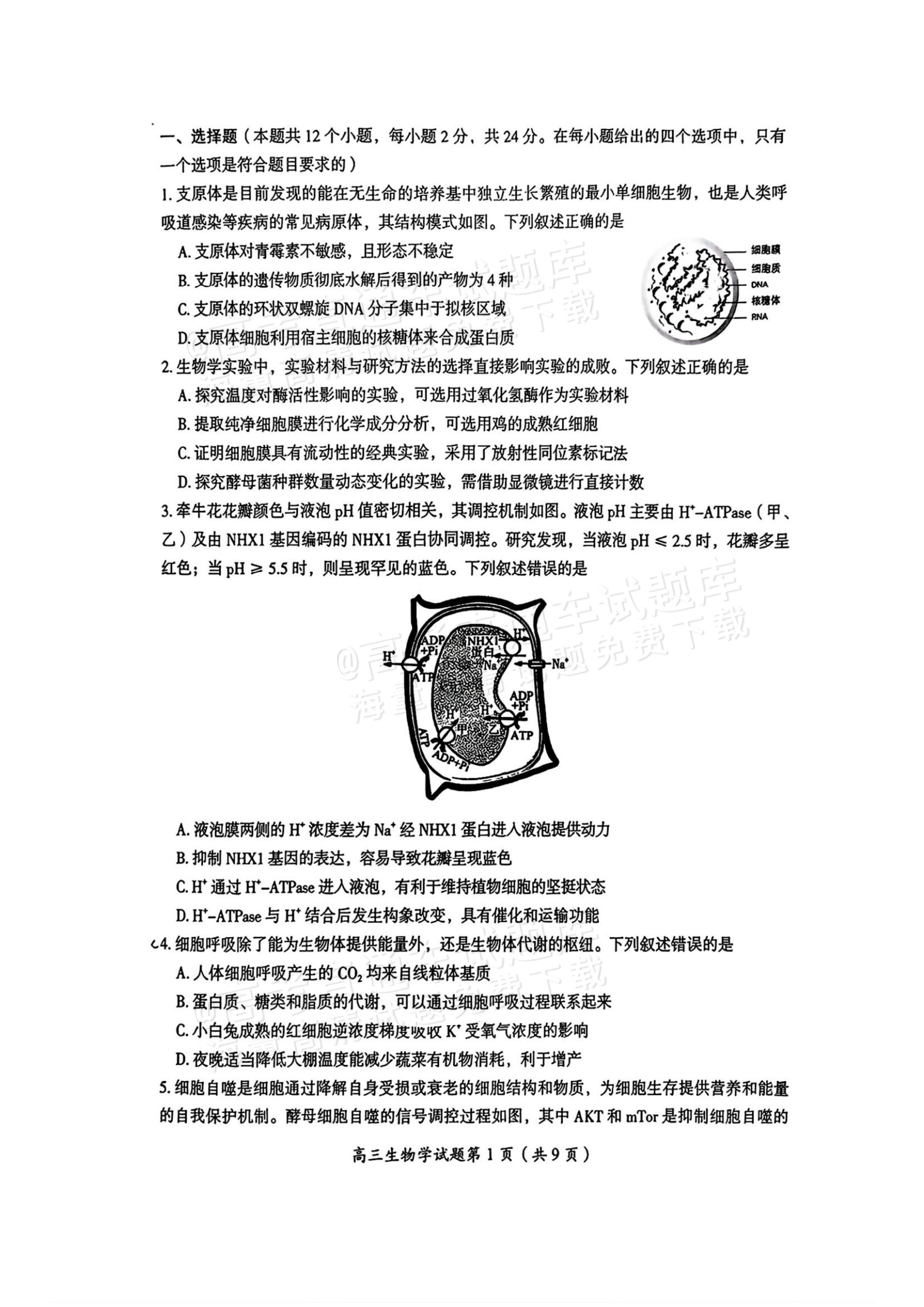 2026湖南郴州高三一模生物试题及参考答案 第2页
