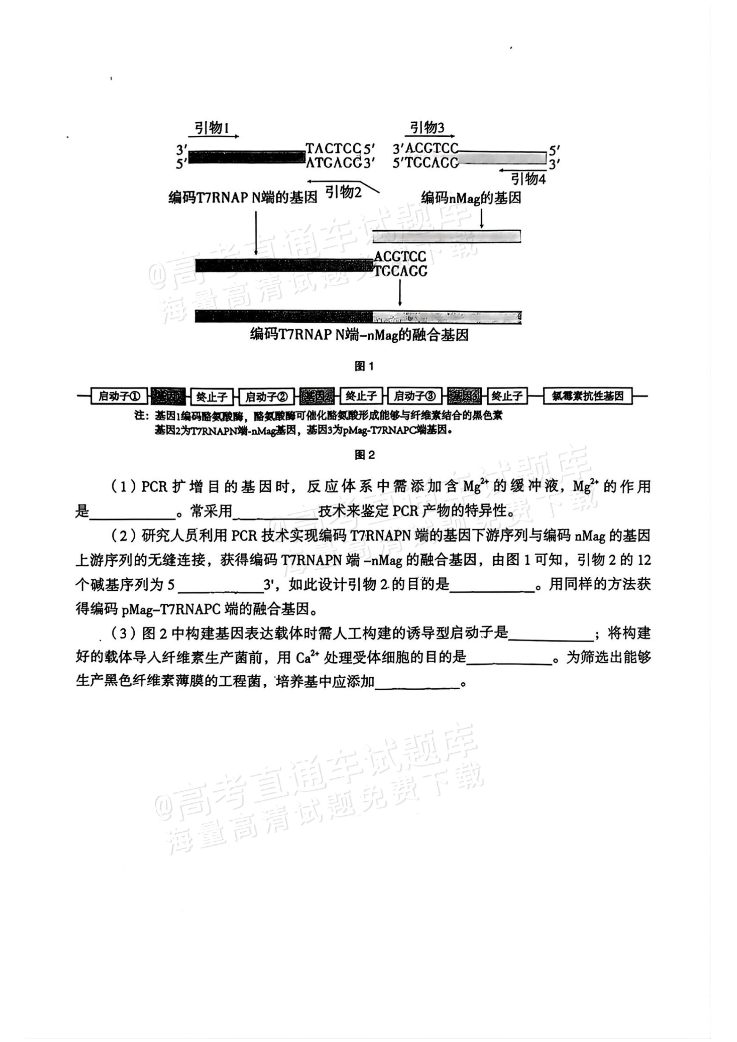2026湖南郴州高三一模生物试题及参考答案 第10页