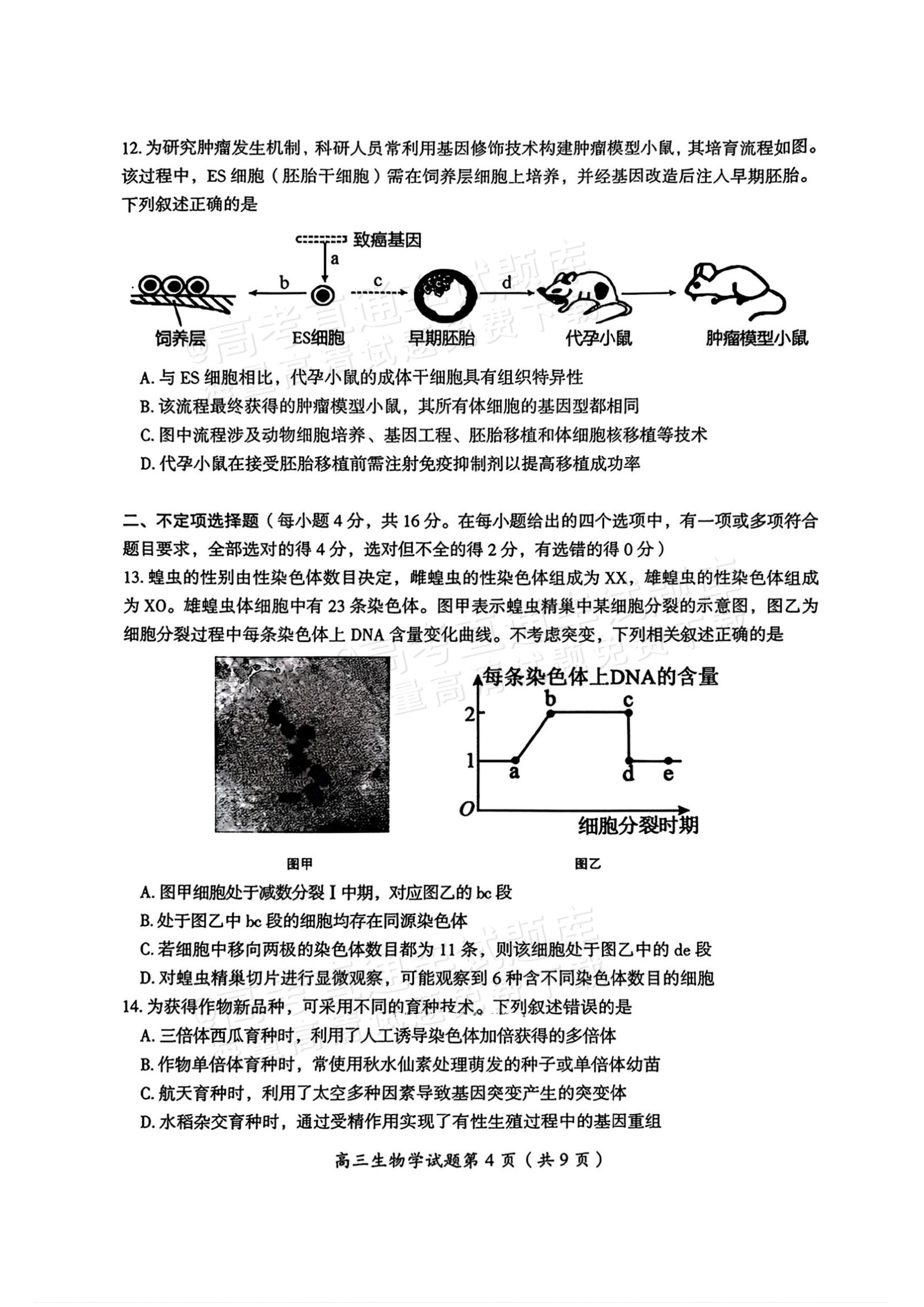 2026湖南郴州高三一模生物试题及参考答案 第5页