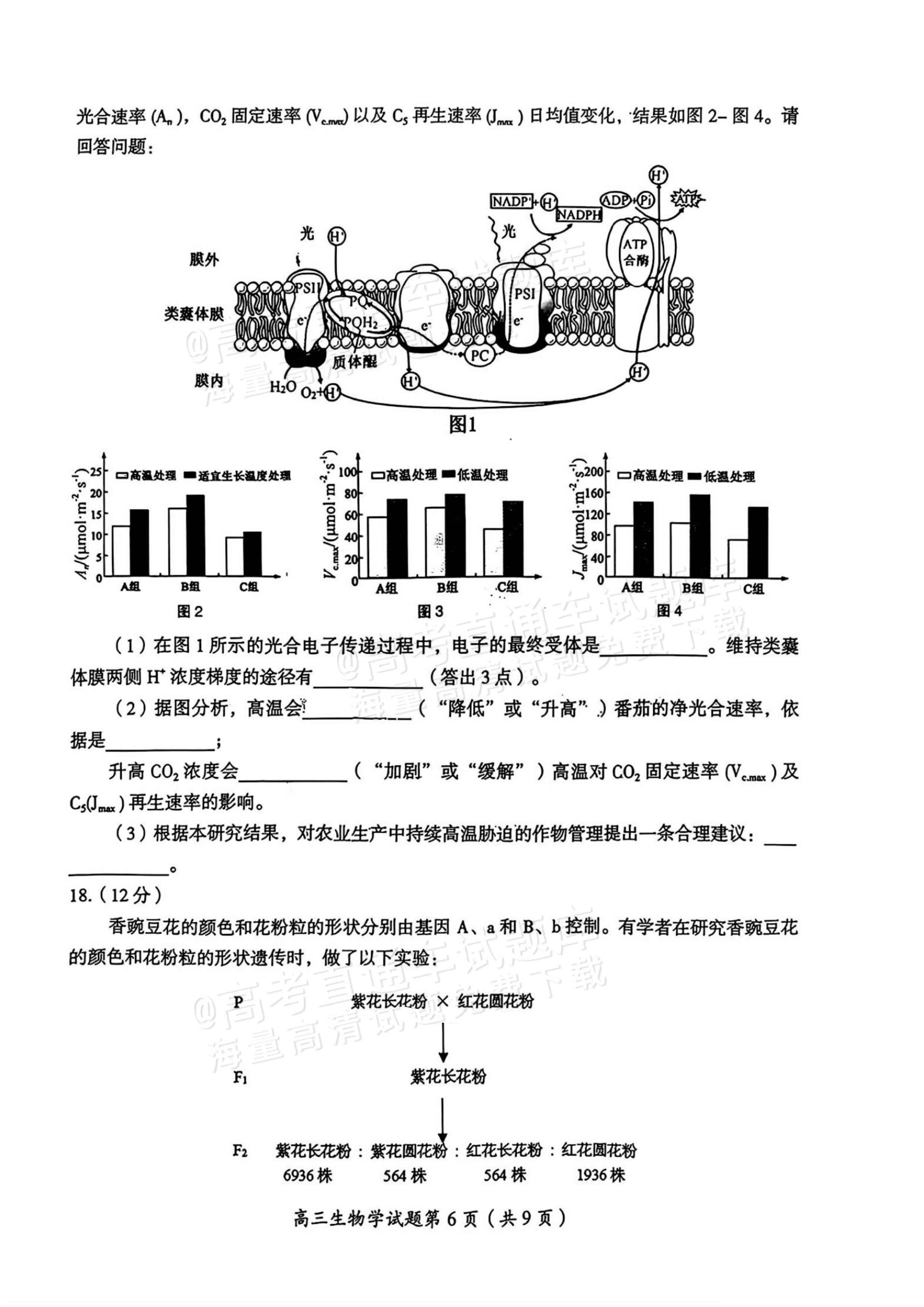 2026湖南郴州高三一模生物试题及参考答案 第7页