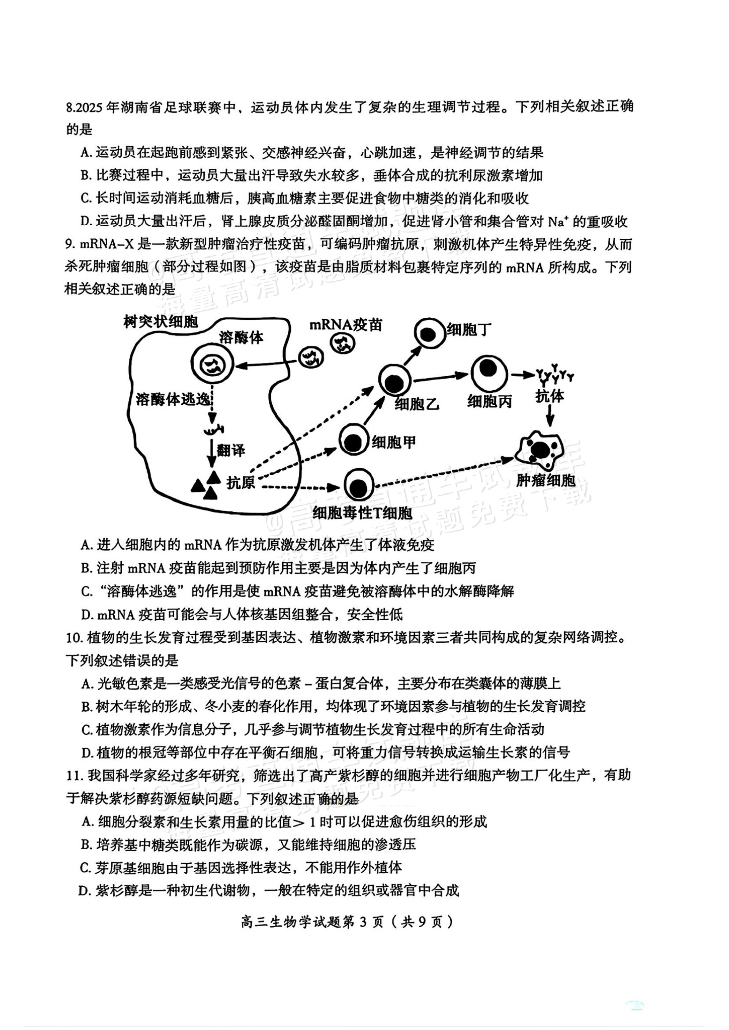 2026湖南郴州高三一模生物试题及参考答案 第4页