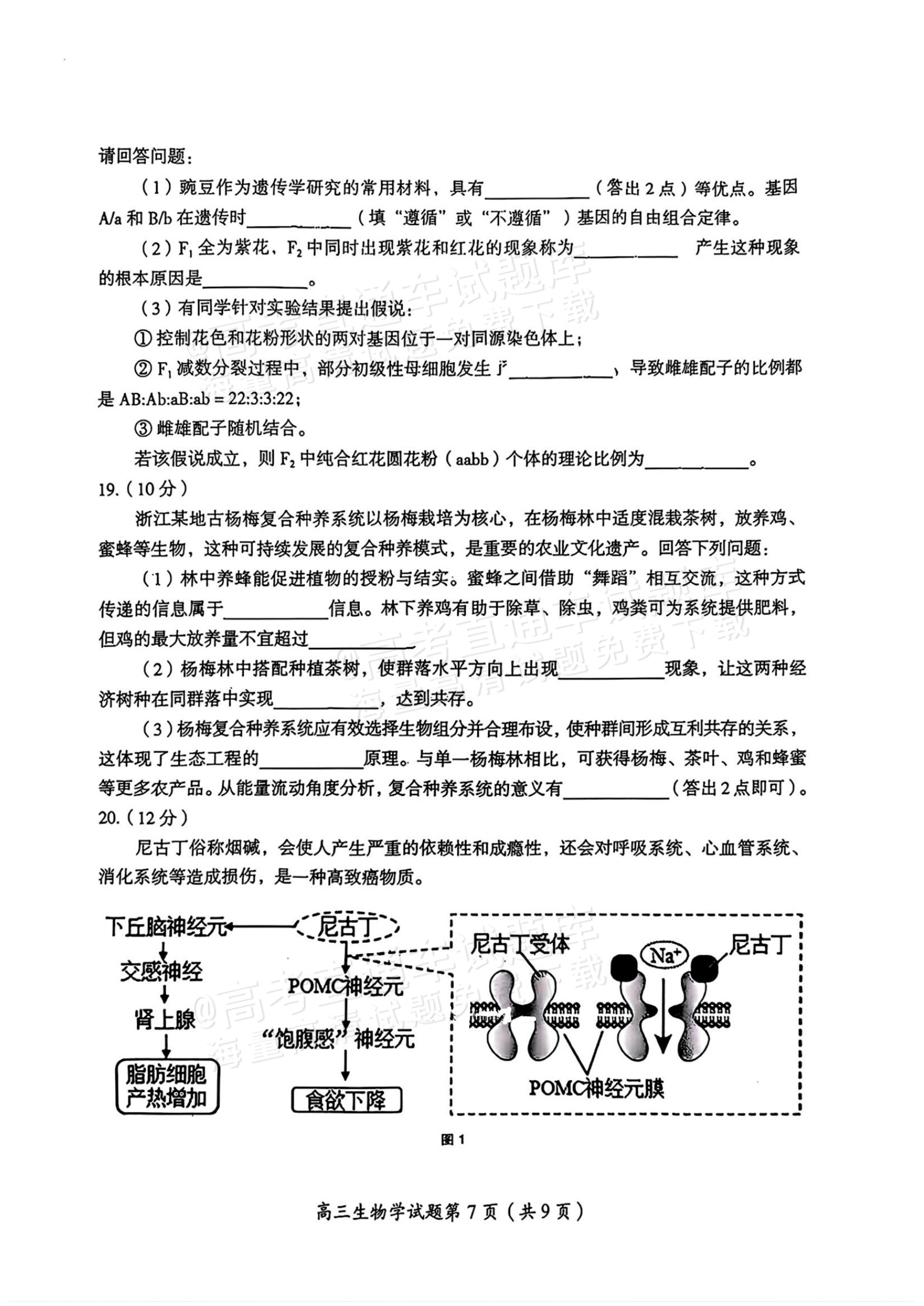 2026湖南郴州高三一模生物试题及参考答案 第8页