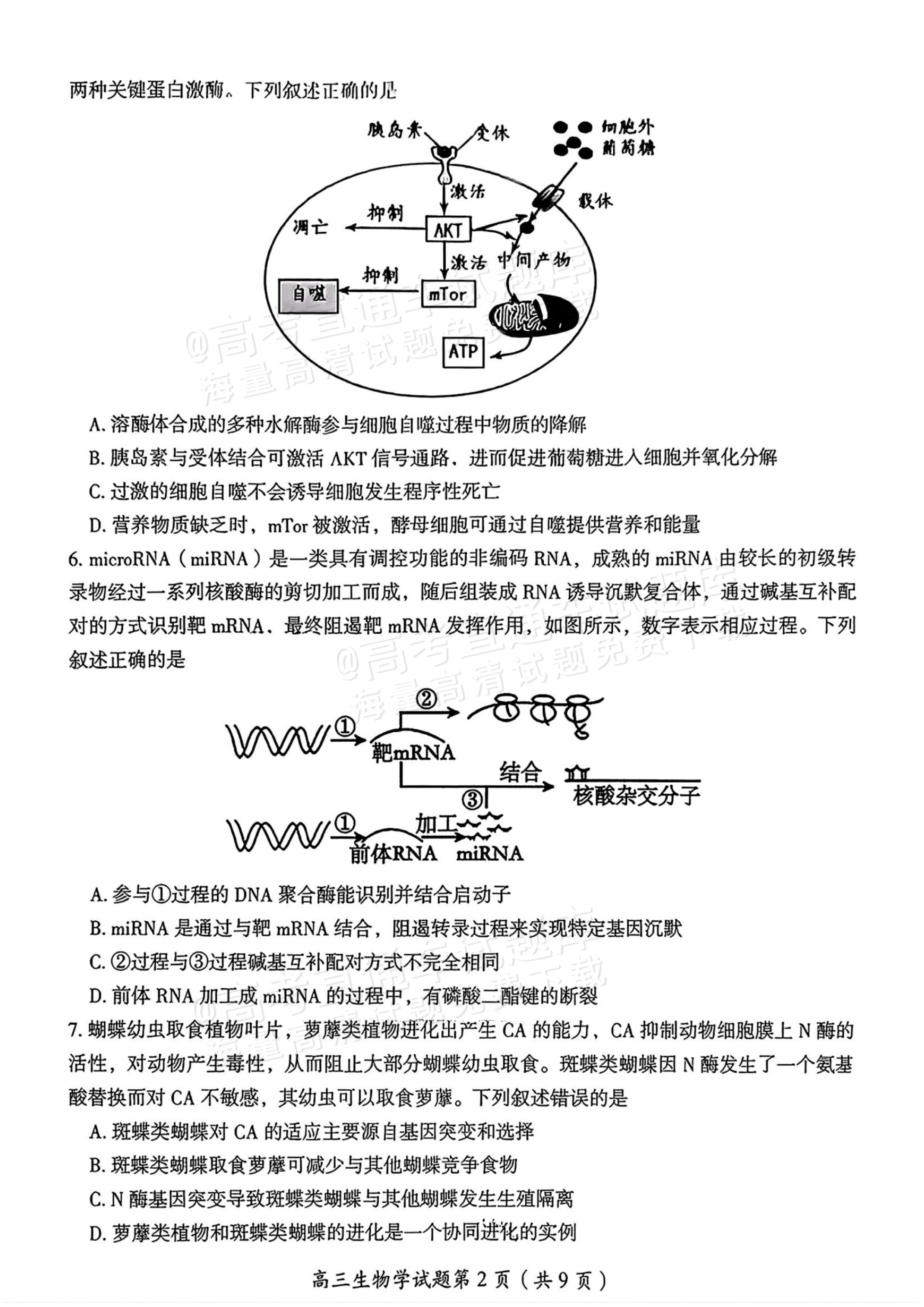 2026湖南郴州高三一模生物试题及参考答案 第3页