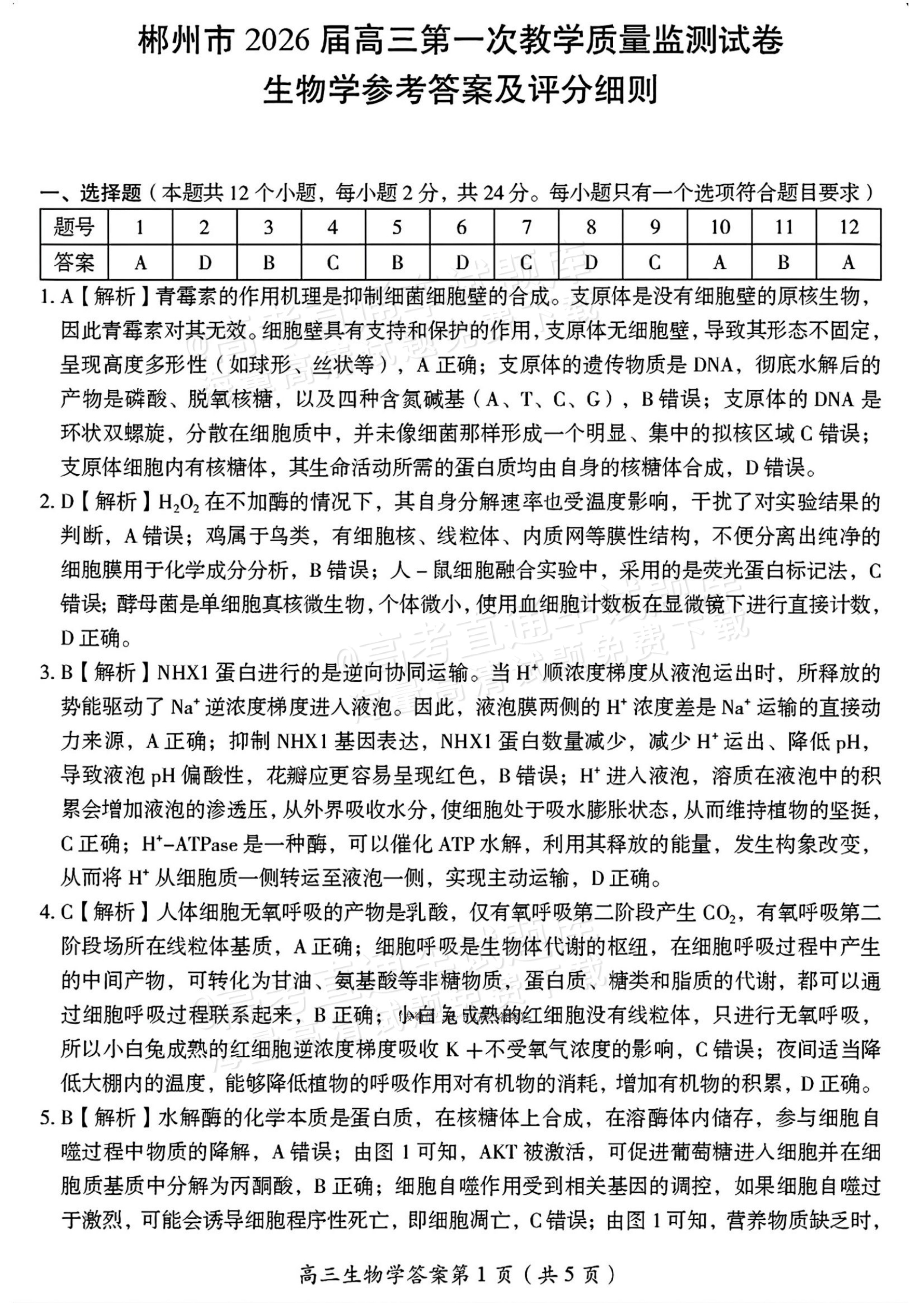 2026湖南郴州高三一模生物试题及参考答案 第11页