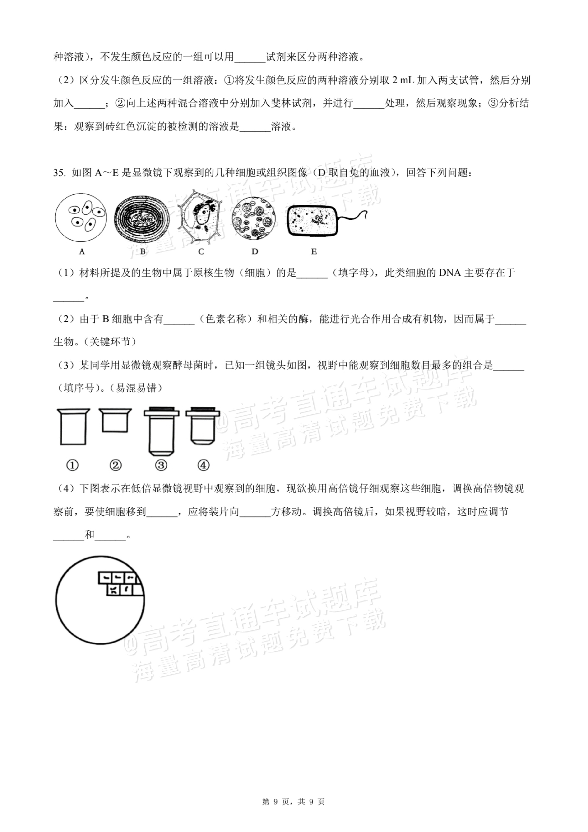 2026天津静海区第一中学高一10月月考生物试题及参考答案 第9页