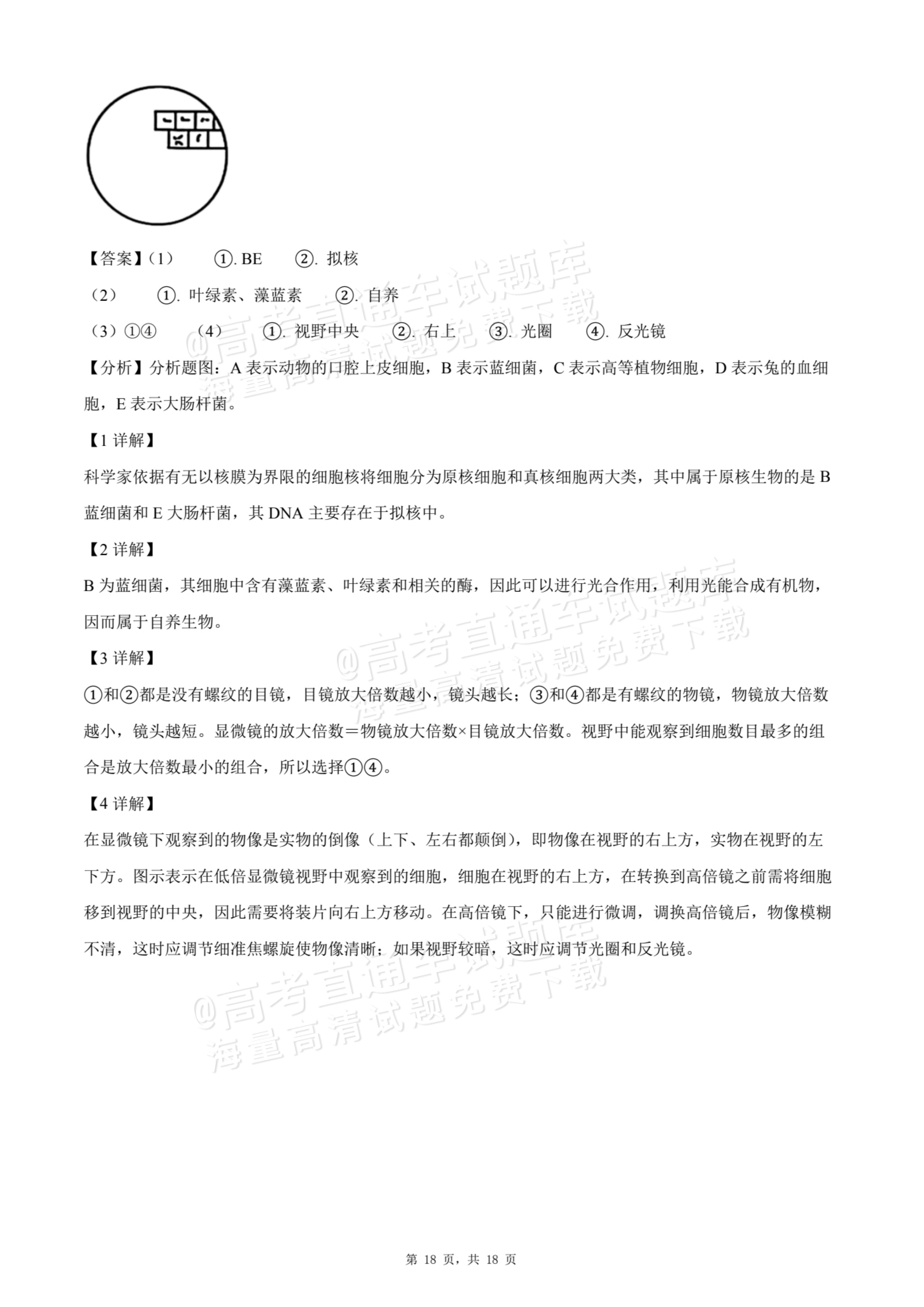 2026天津静海区第一中学高一10月月考生物试题及参考答案 答案 第18页
