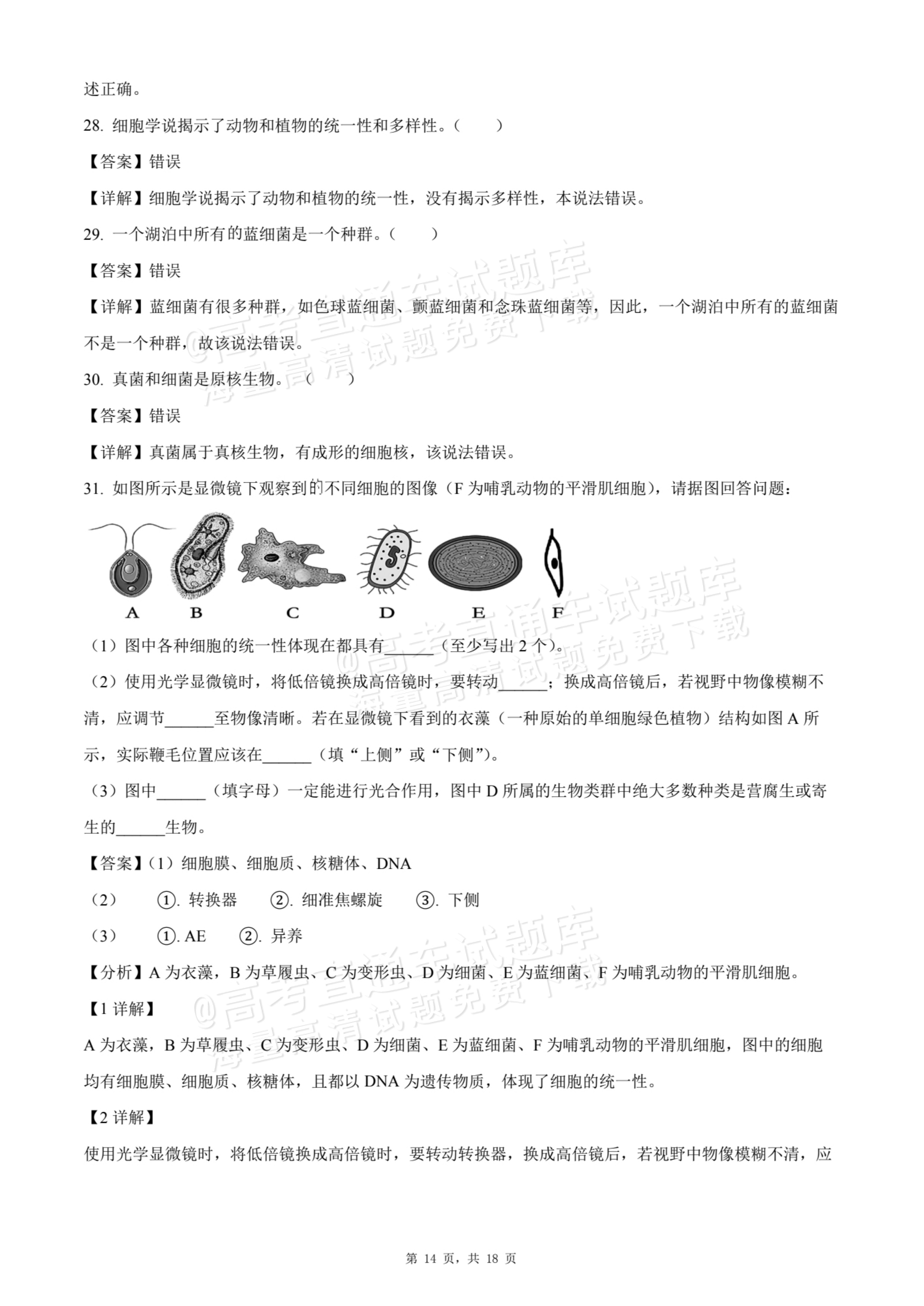 2026天津静海区第一中学高一10月月考生物试题及参考答案 答案 第14页