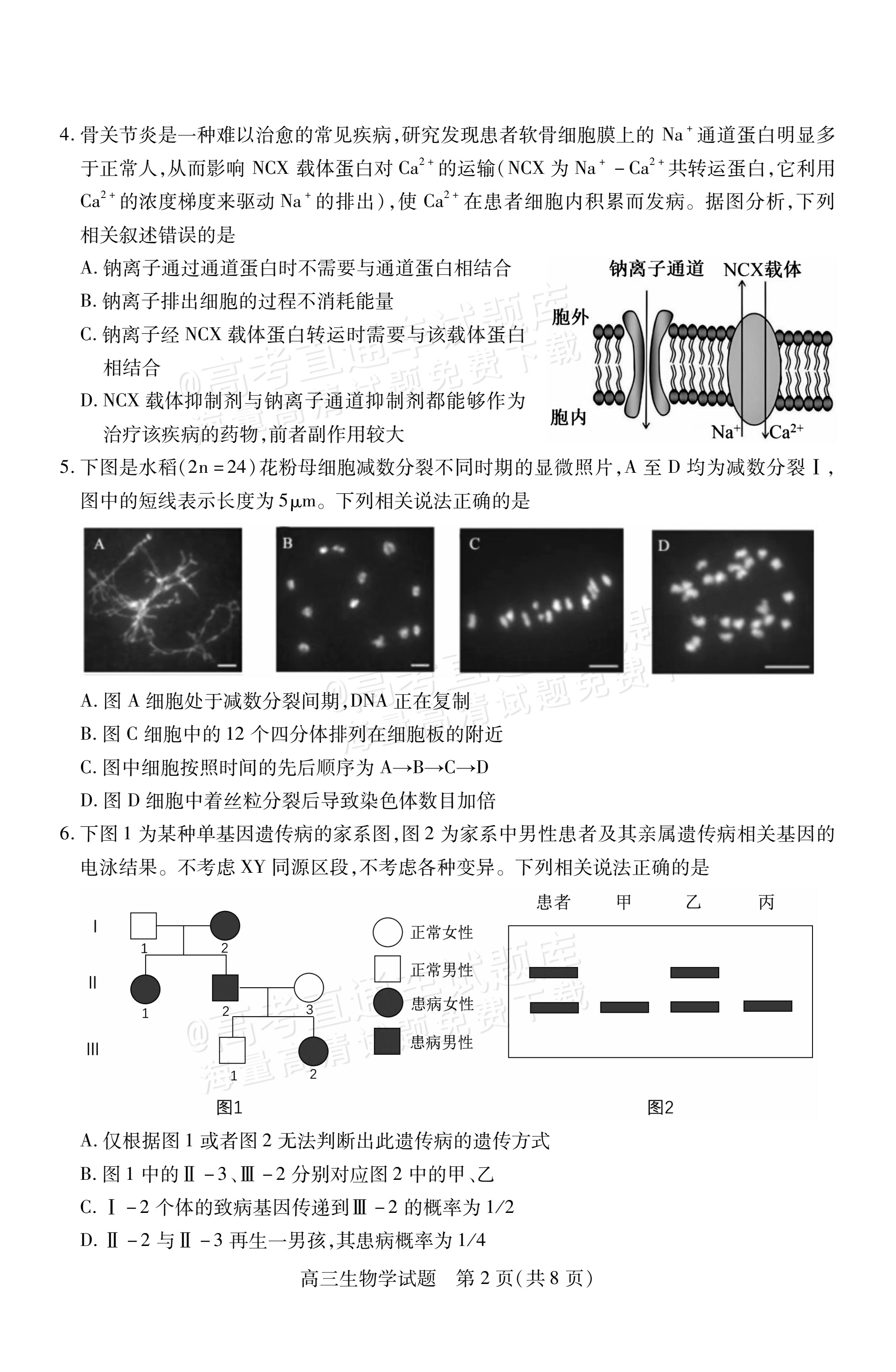 2026山西运城市高三上期中调研考生物试题及参考答案 第2页