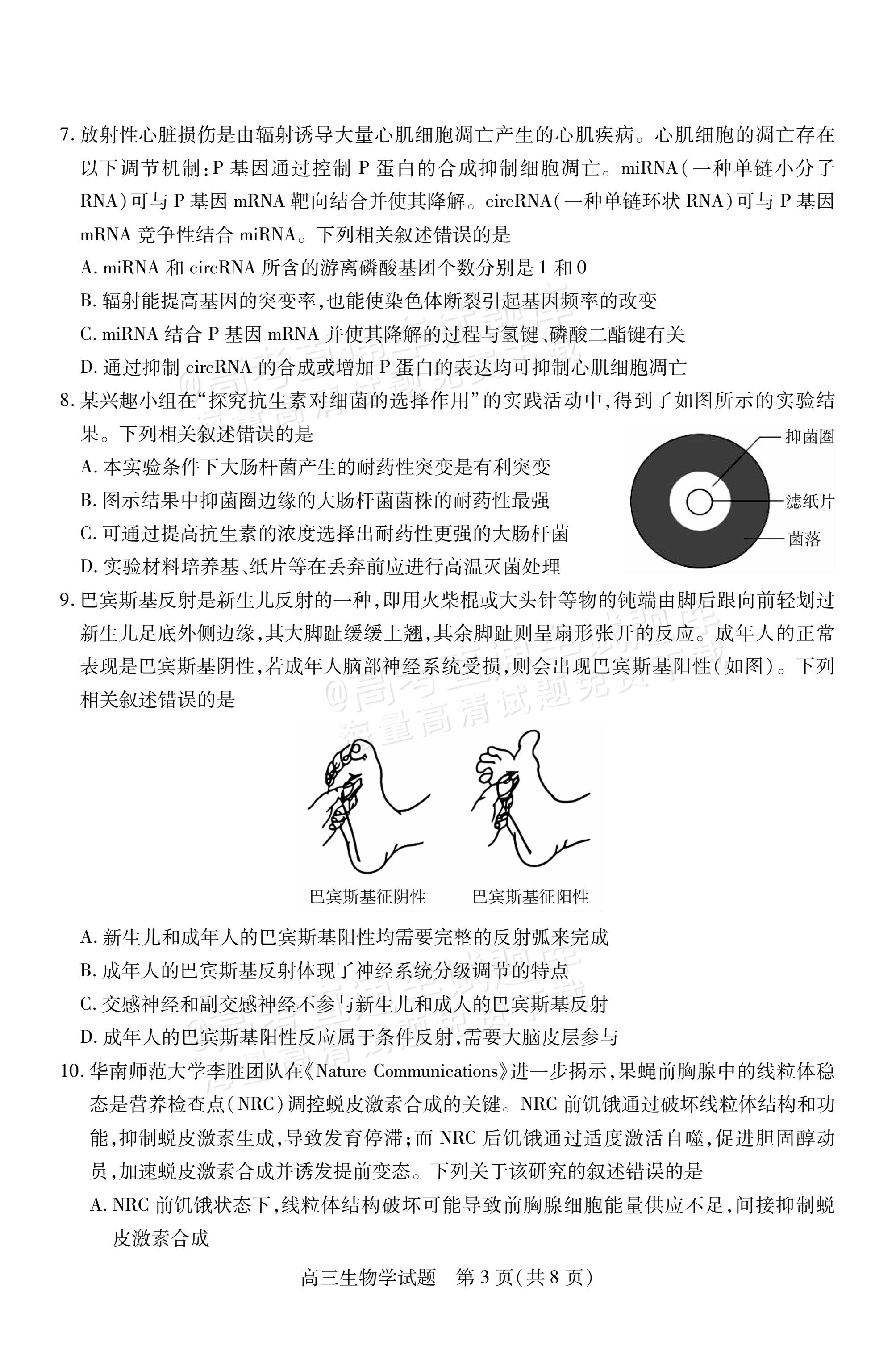2026山西运城市高三上期中调研考生物试题及参考答案 第3页