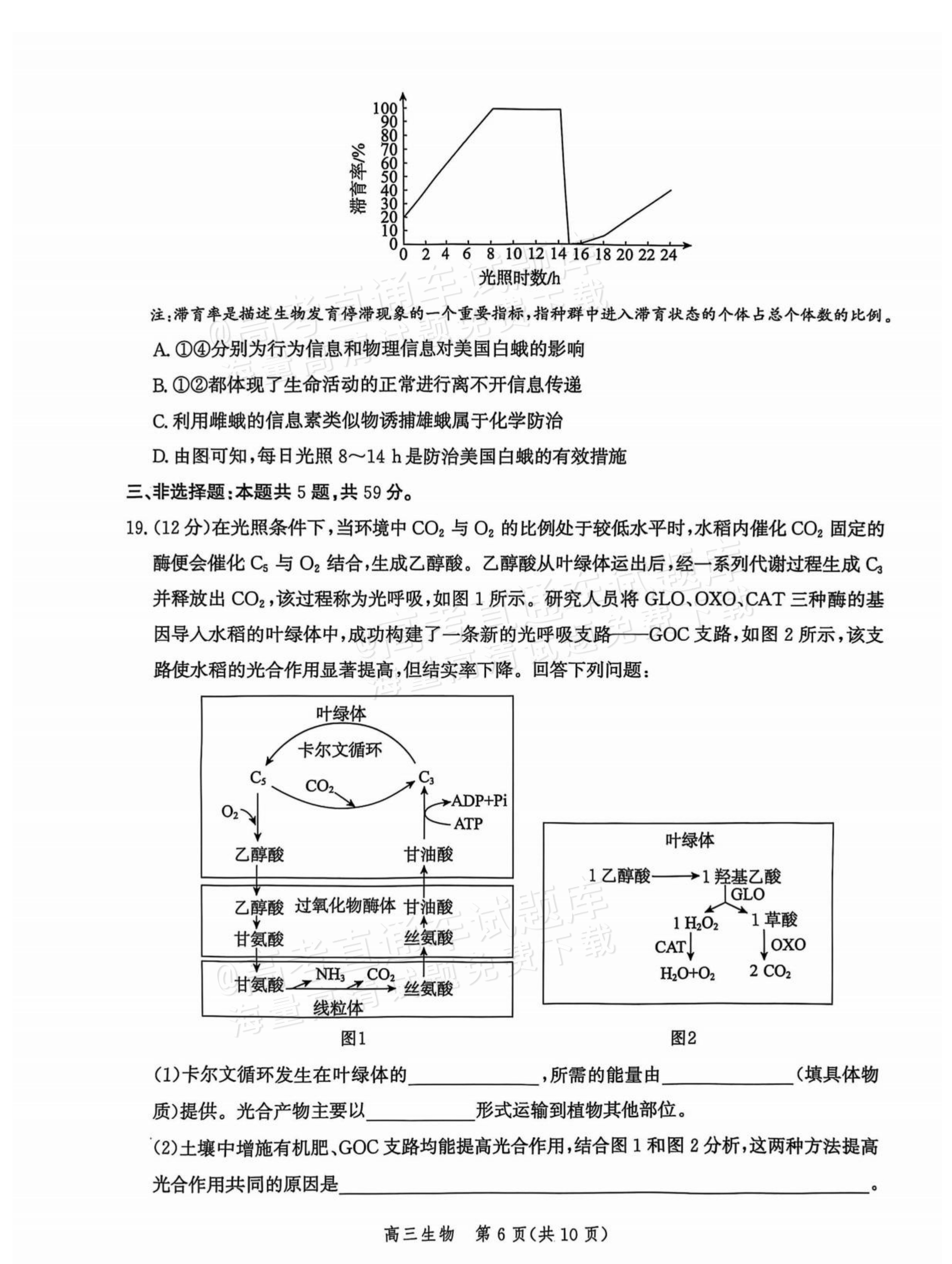2026河北沧衡名校联盟高三上期中联考生物试题及参考答案 第6页