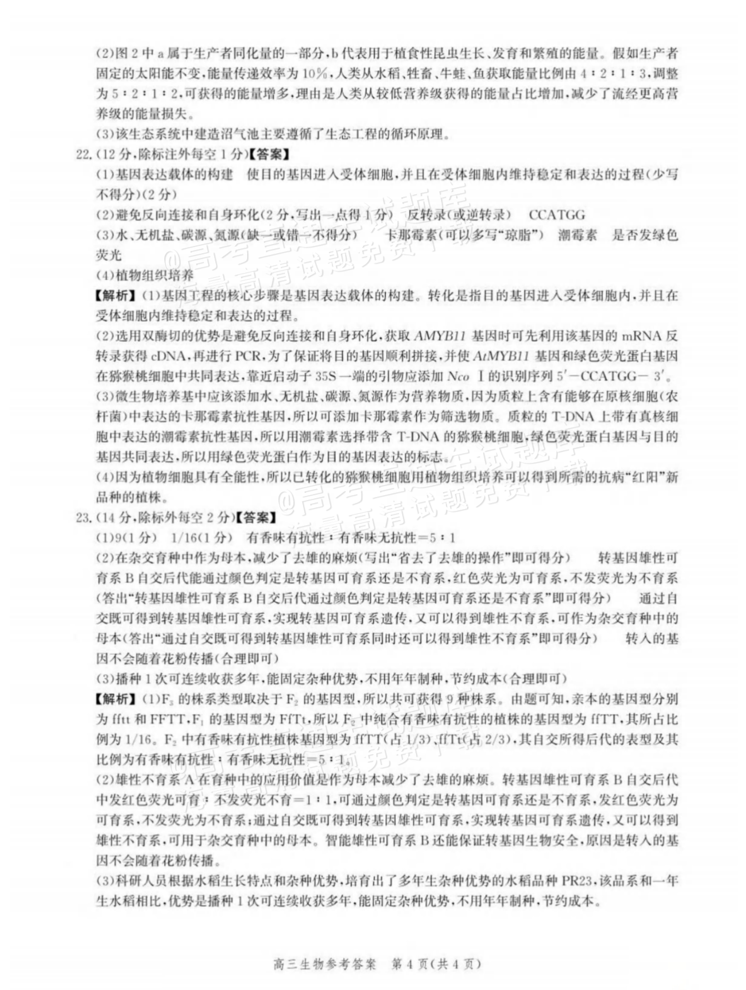 2026河北沧衡名校联盟高三上期中联考生物试题及参考答案 答案 第4页
