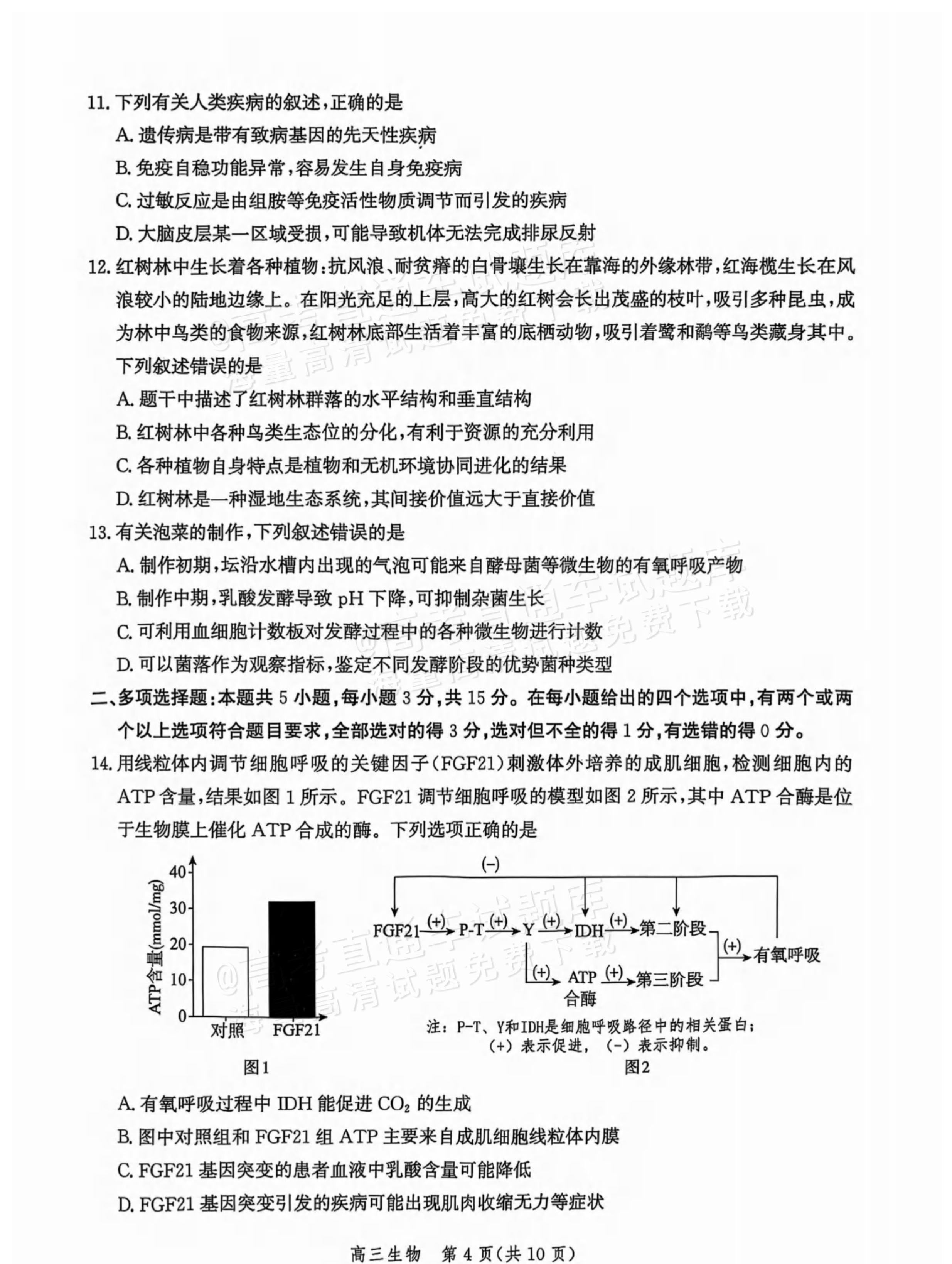 2026河北沧衡名校联盟高三上期中联考生物试题及参考答案 第4页