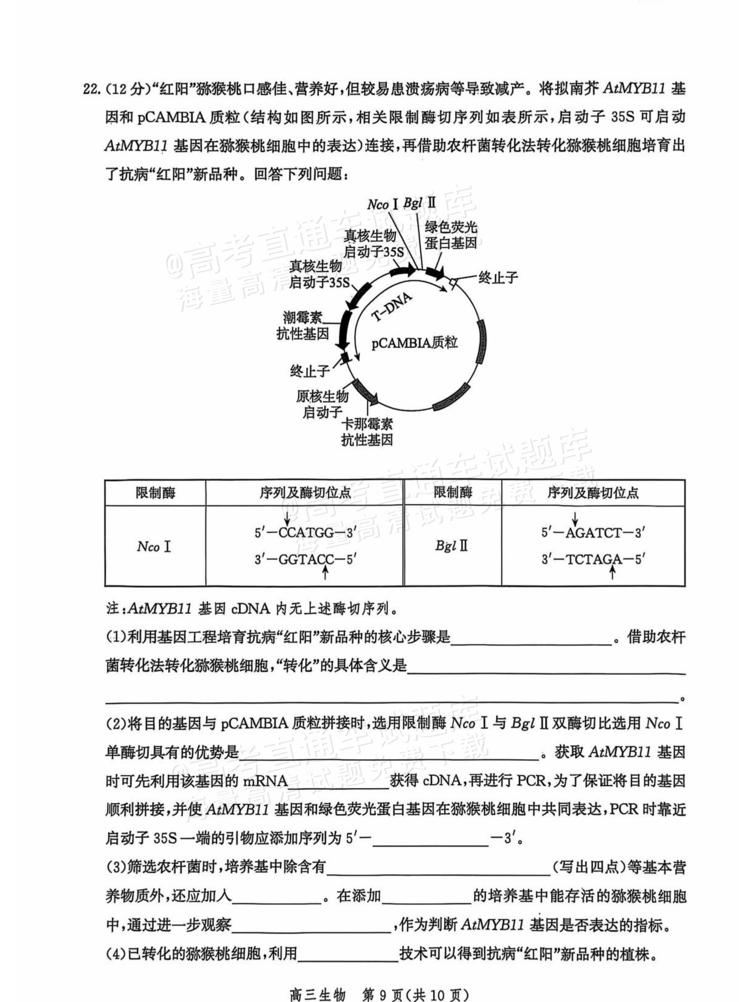 2026河北沧衡名校联盟高三上期中联考生物试题及参考答案 第9页