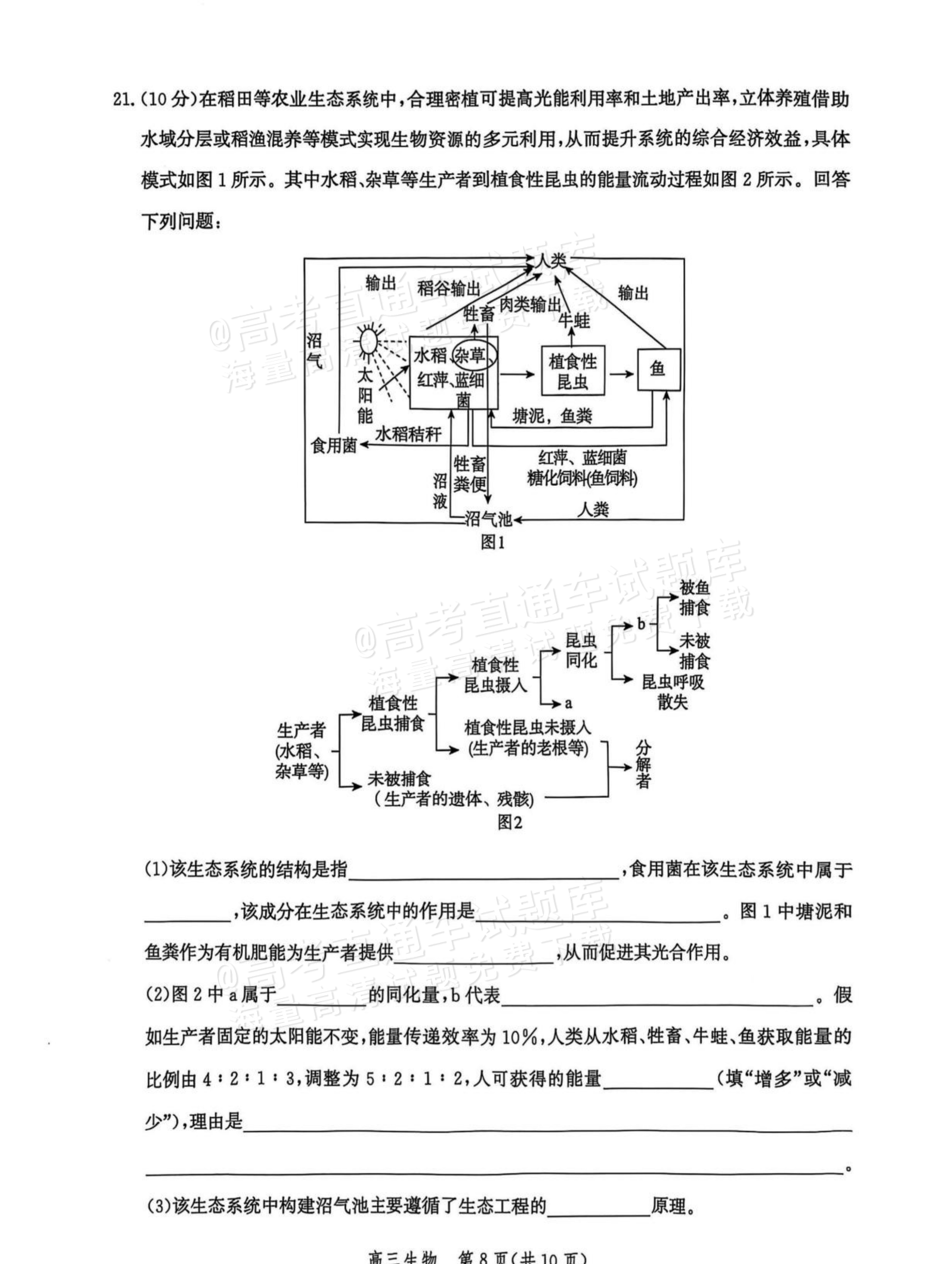 2026河北沧衡名校联盟高三上期中联考生物试题及参考答案 第8页