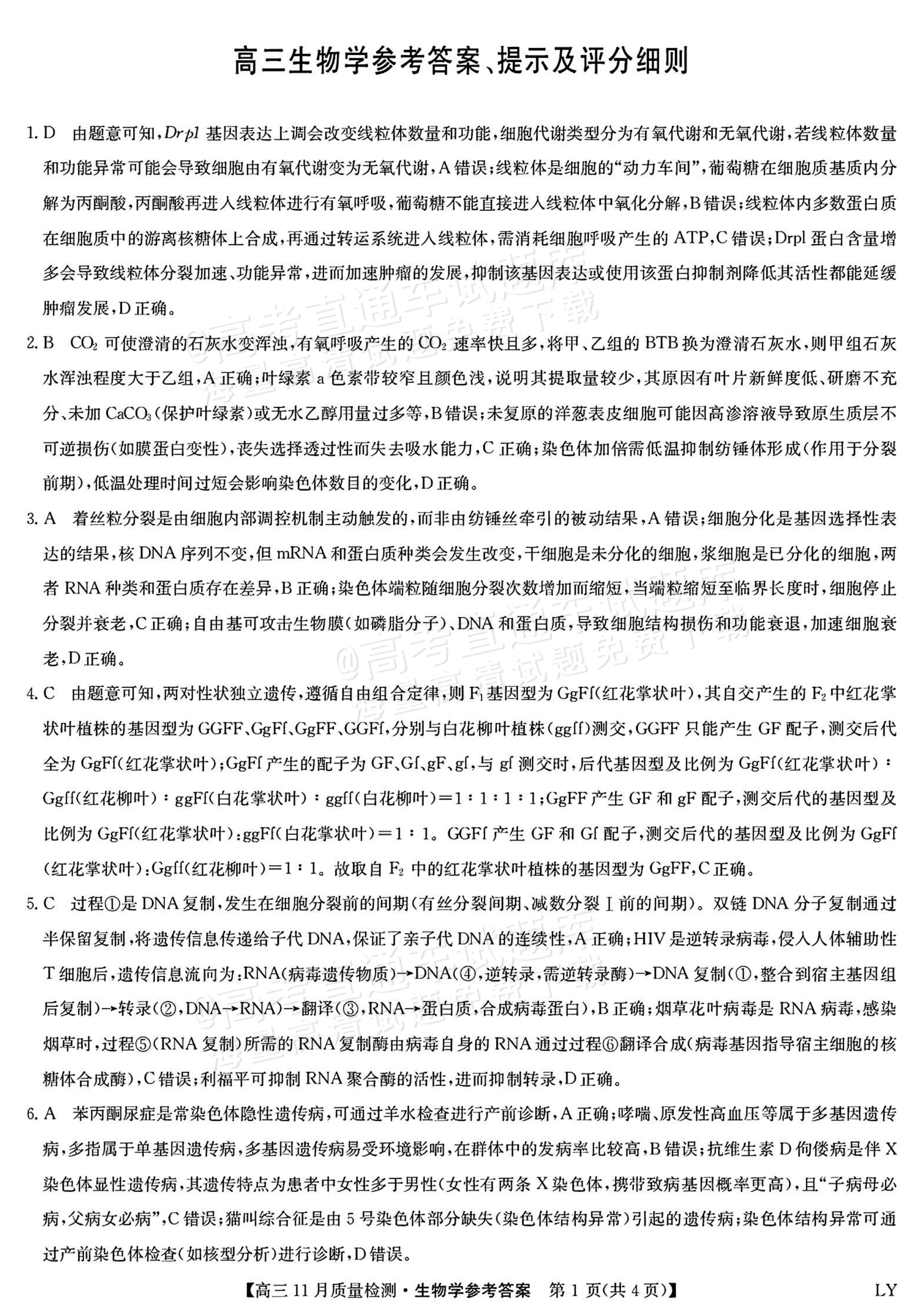 2026九师联盟高三11月联考生物试题及参考答案 答案 第1页