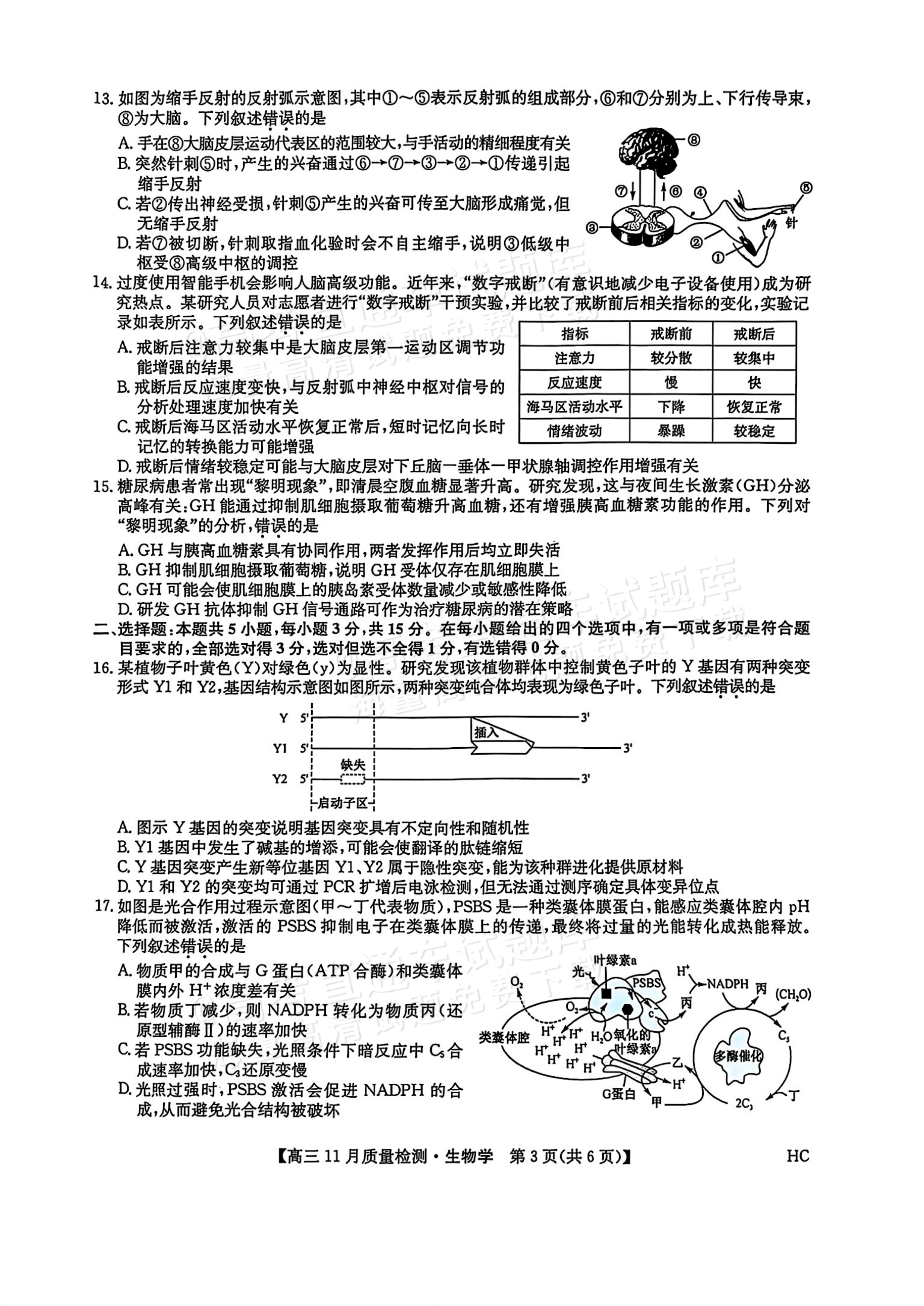 2026九师联盟高三11月联考生物试题及参考答案 第3页