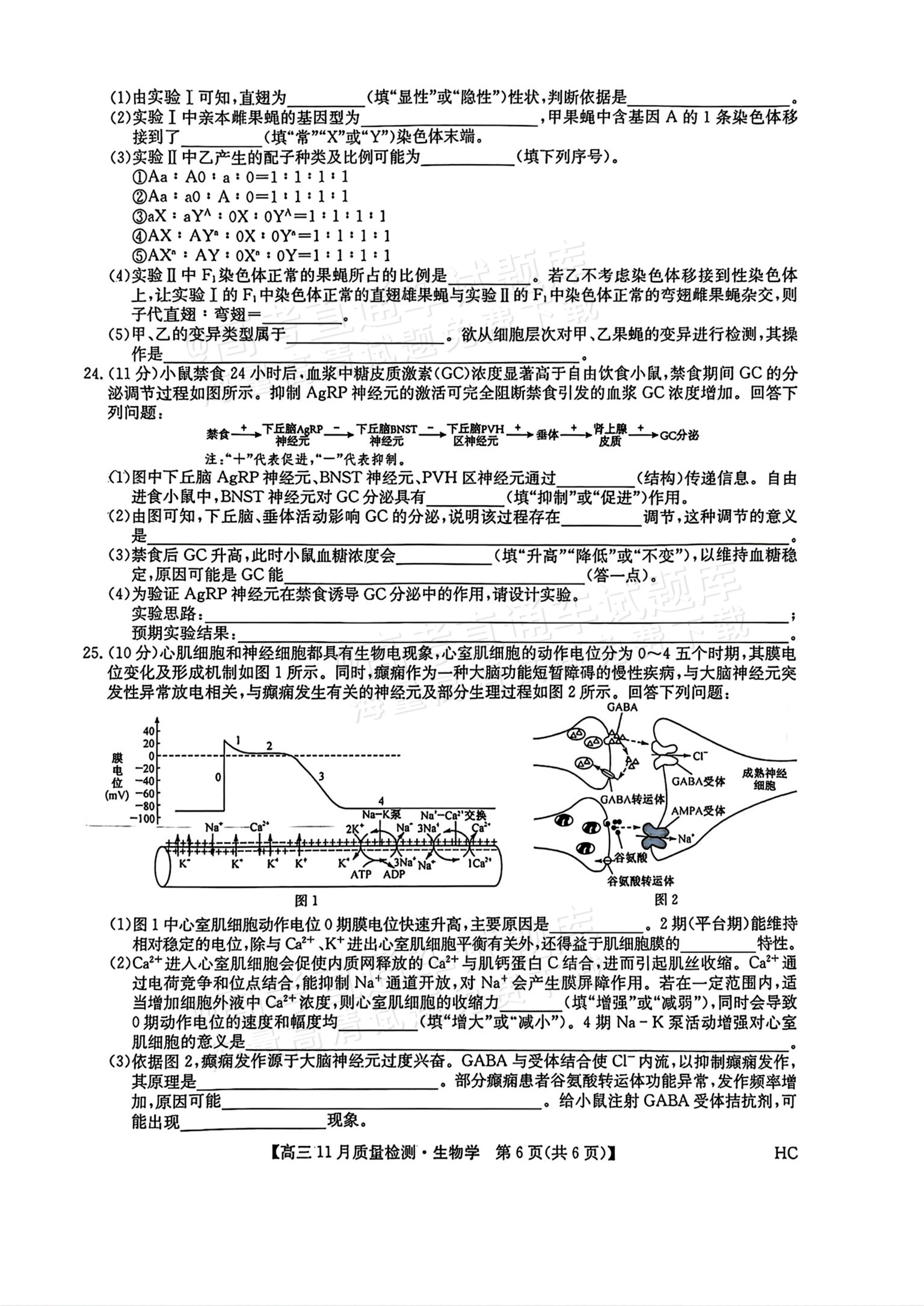2026九师联盟高三11月联考生物试题及参考答案 第6页
