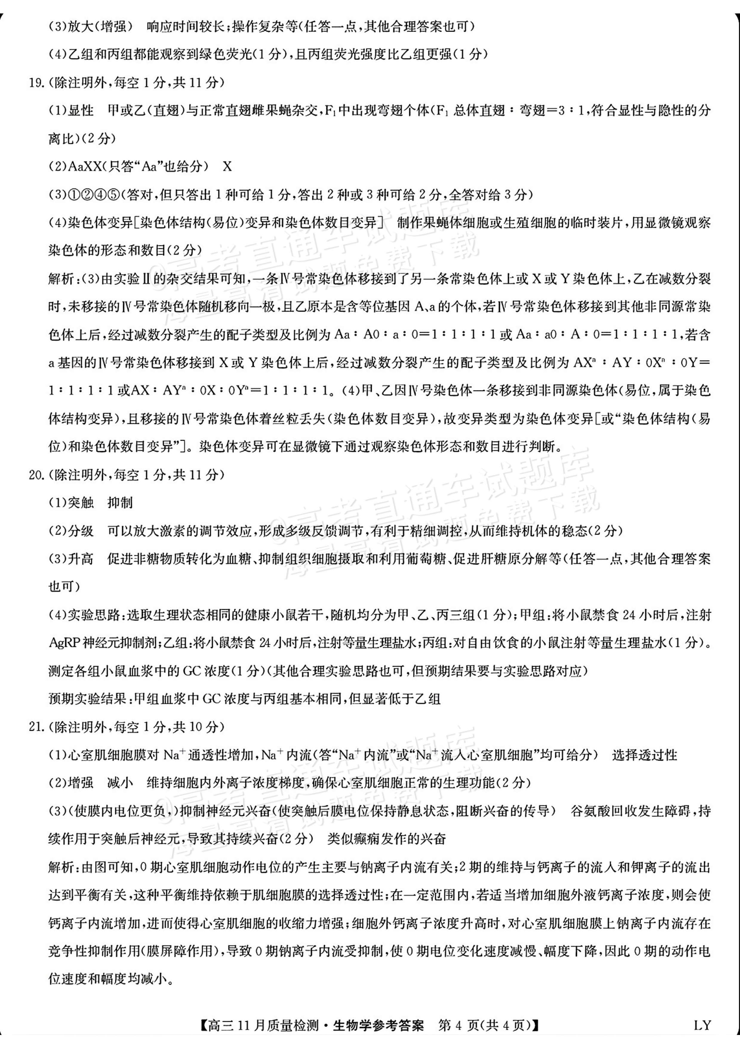 2026九师联盟高三11月联考生物试题及参考答案 答案 第4页